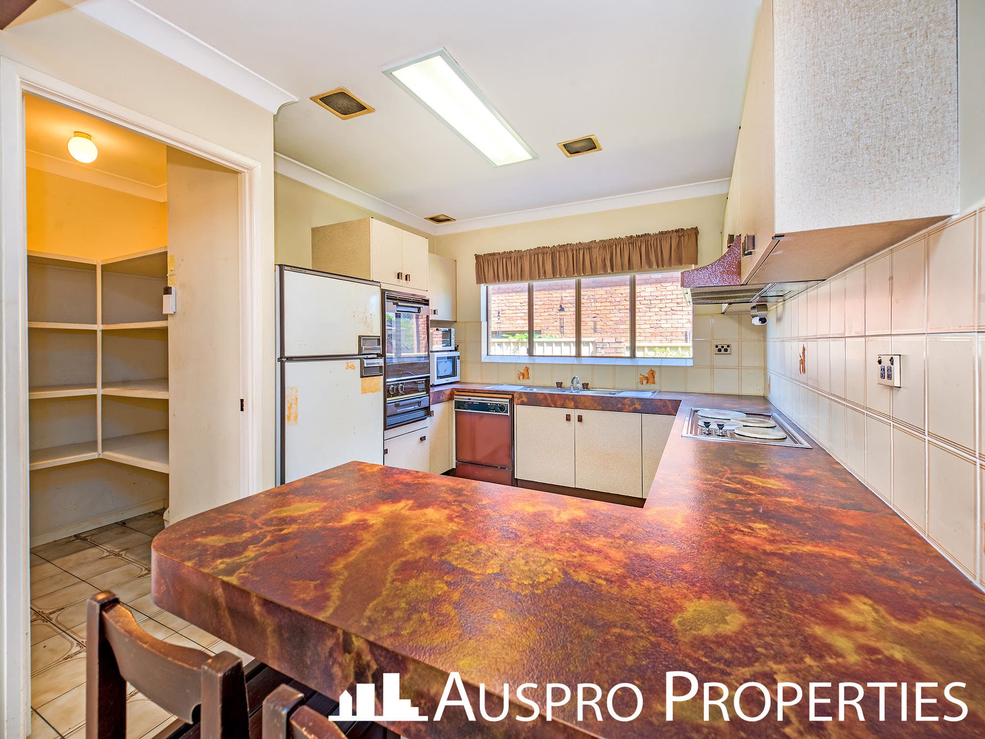 6 Chalton St, Eight Mile Plains - Thumbnail 3