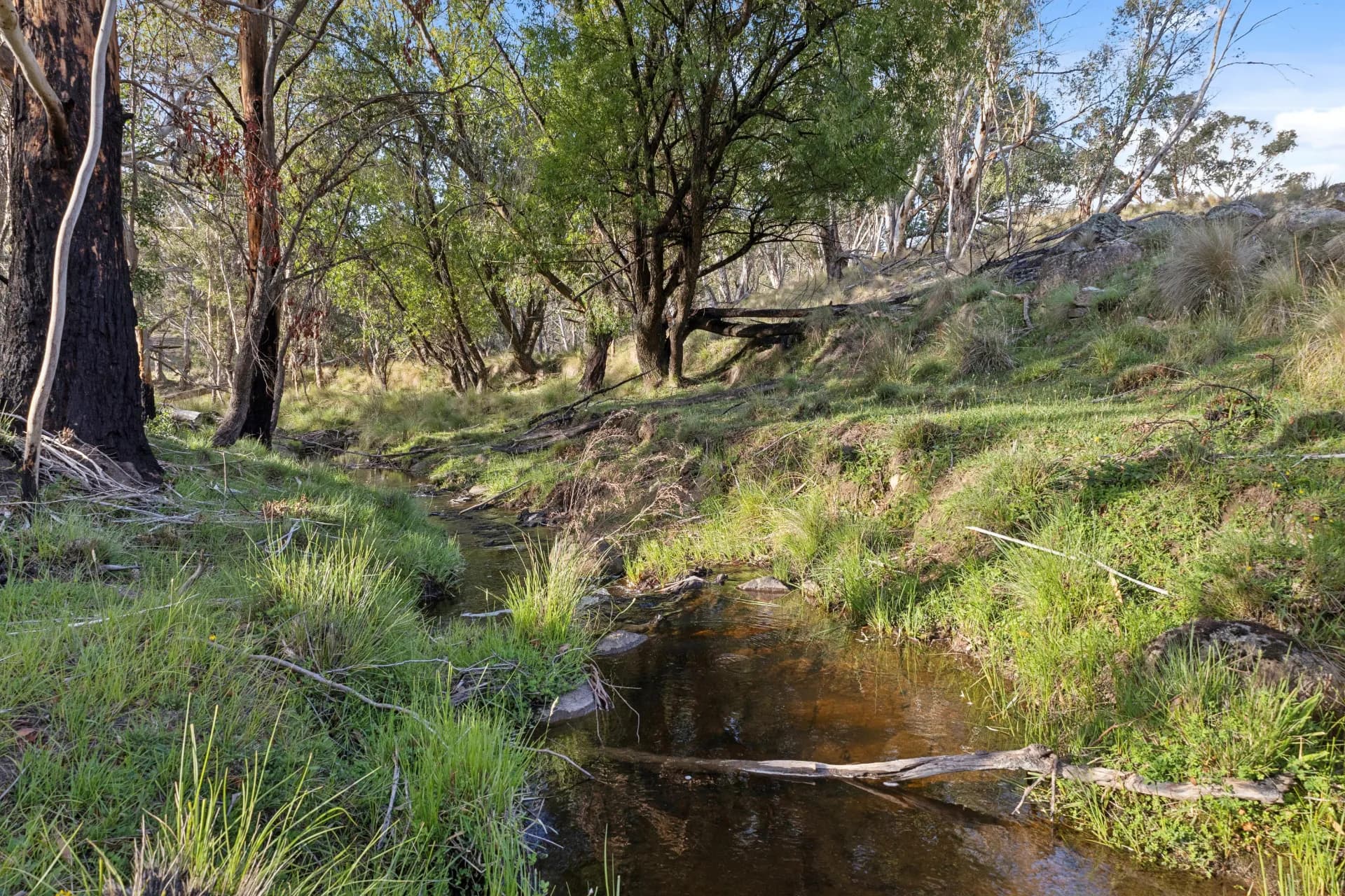507 Harolds Cross Road, Braidwood, NSW, Braidwood - Thumbnail 3