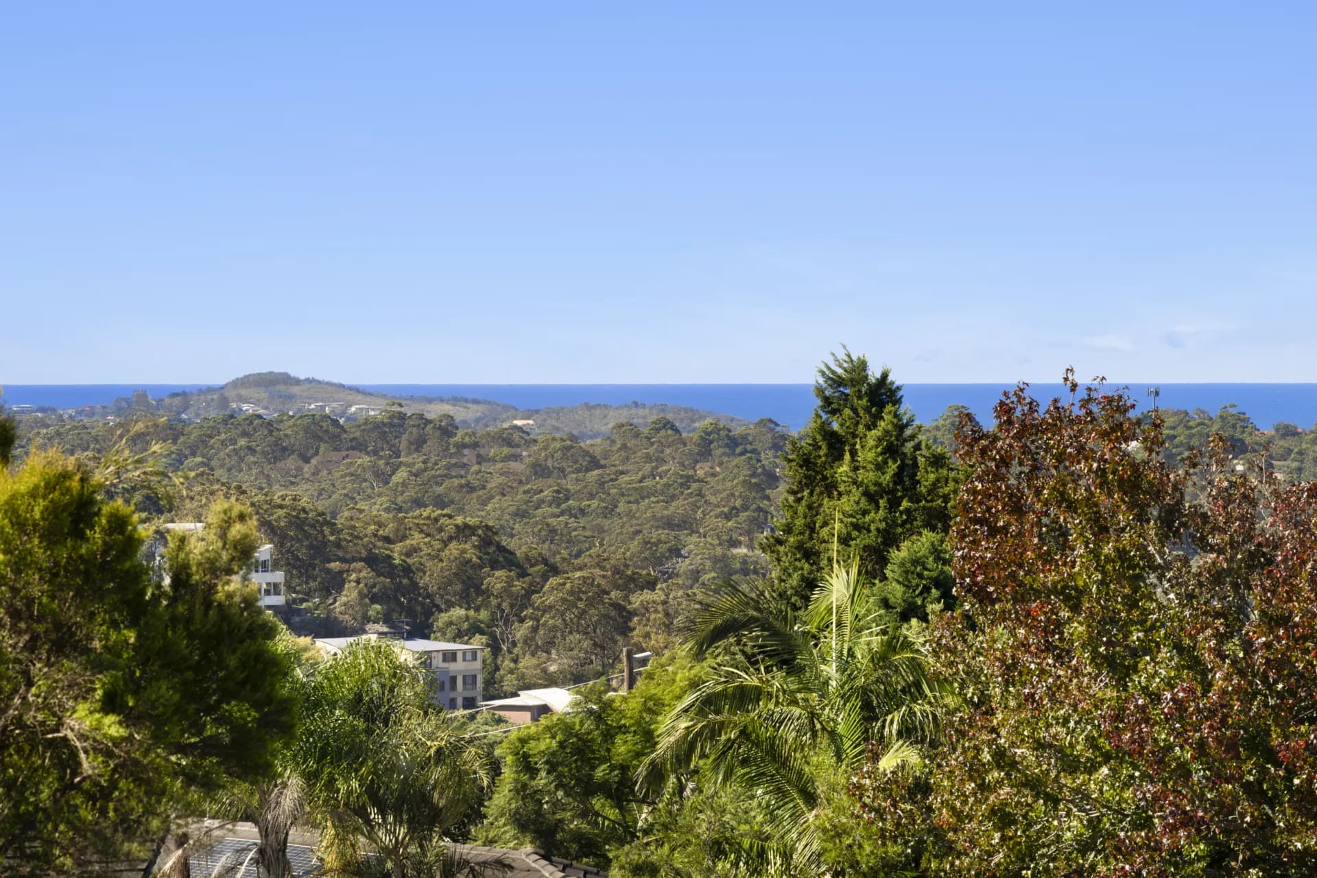 8 Boylson Place, Cromer, NSW, Cromer - Thumbnail 8