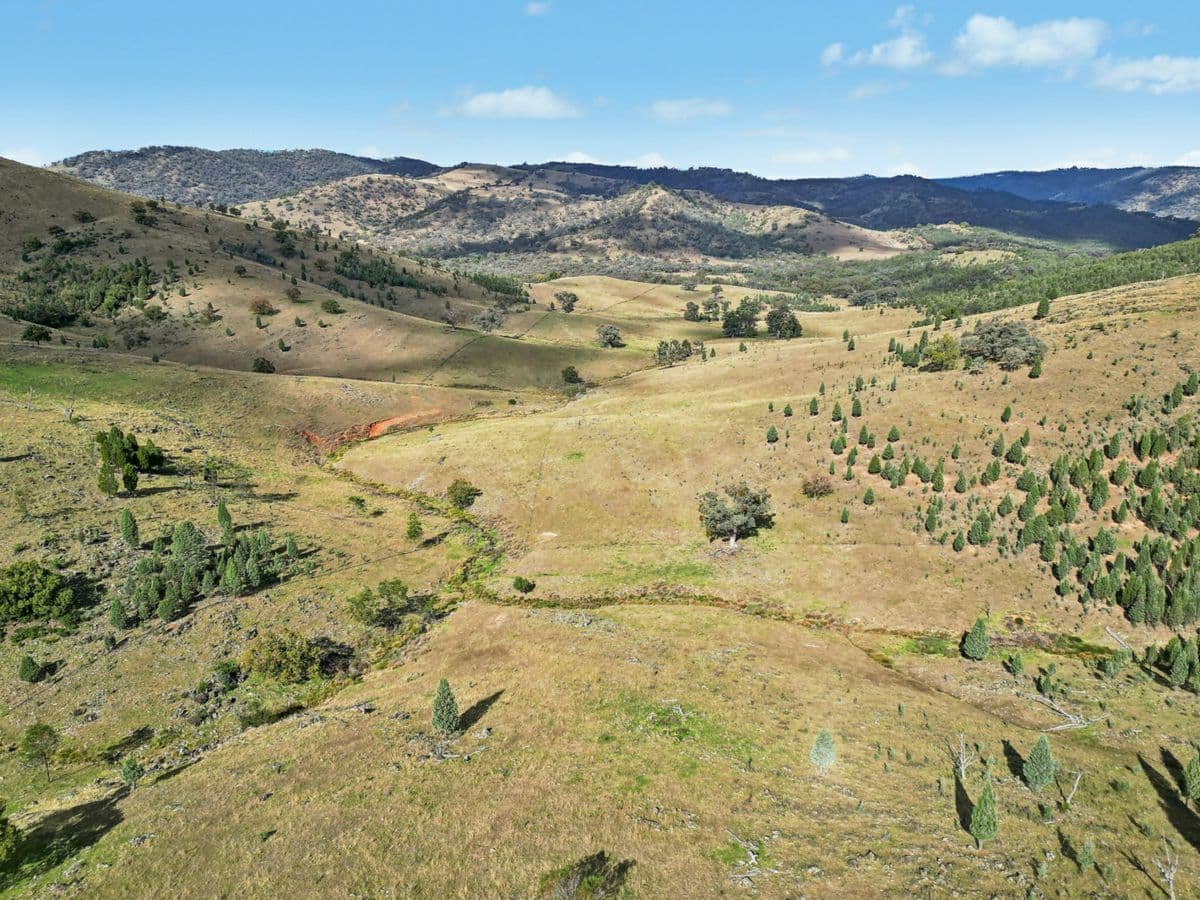 2/1193 Yarrabin Road, MUDGEE, Mudgee - Image 1