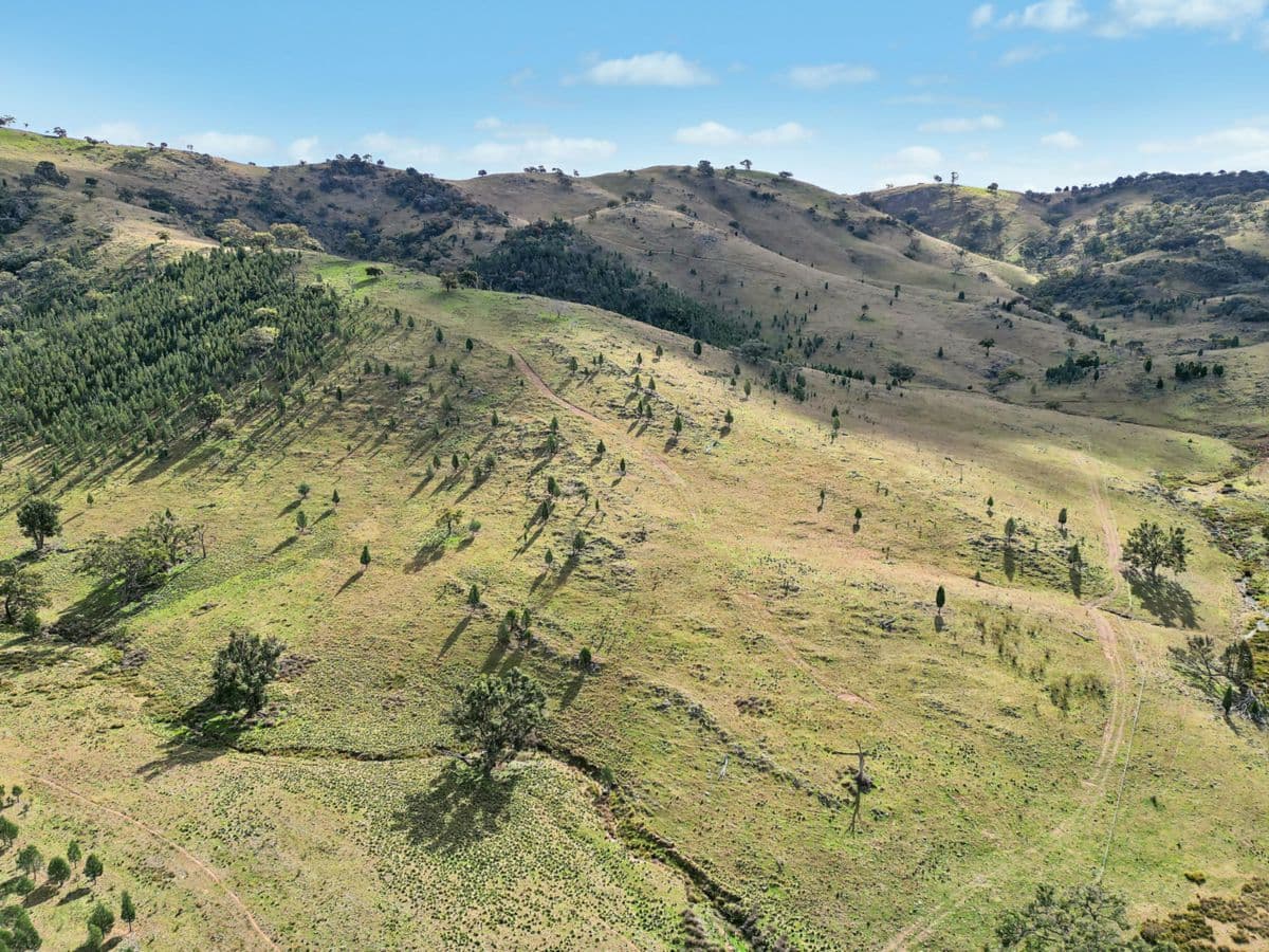 2/1193 Yarrabin Road, MUDGEE, Mudgee - Thumbnail 3