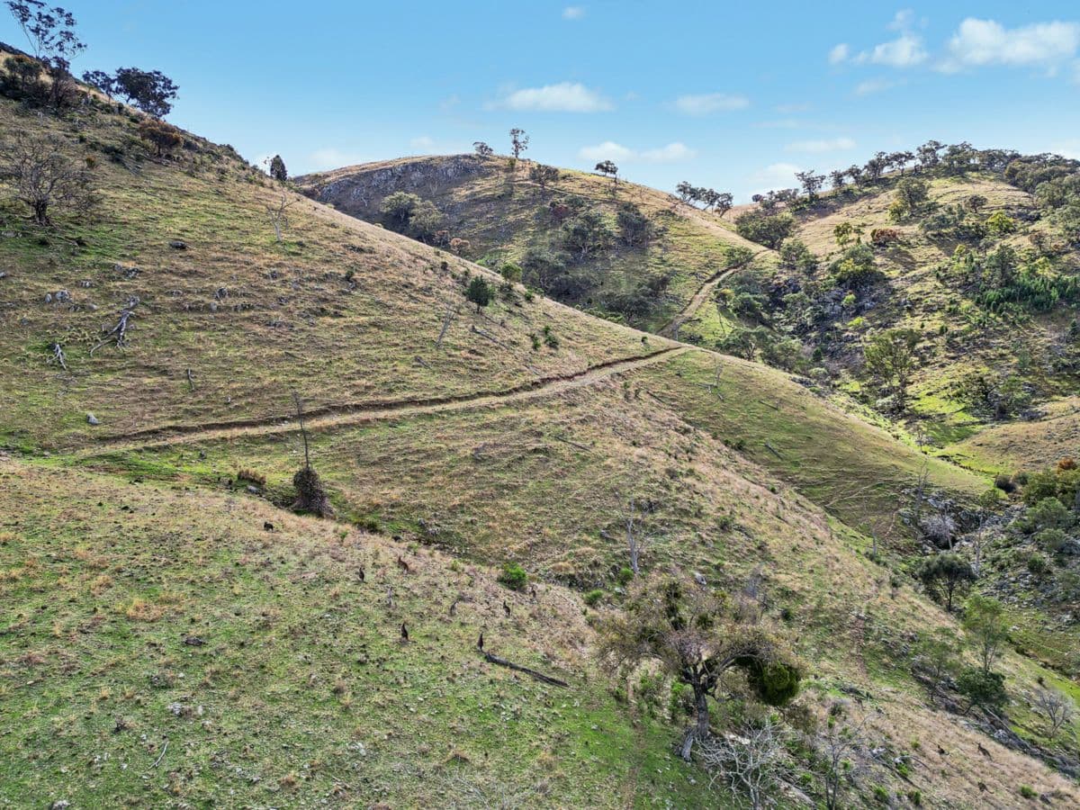 2/1193 Yarrabin Road, MUDGEE, Mudgee - Thumbnail 4