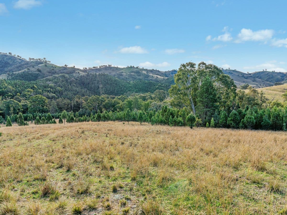 2/1193 Yarrabin Road, MUDGEE, Mudgee - Thumbnail 5