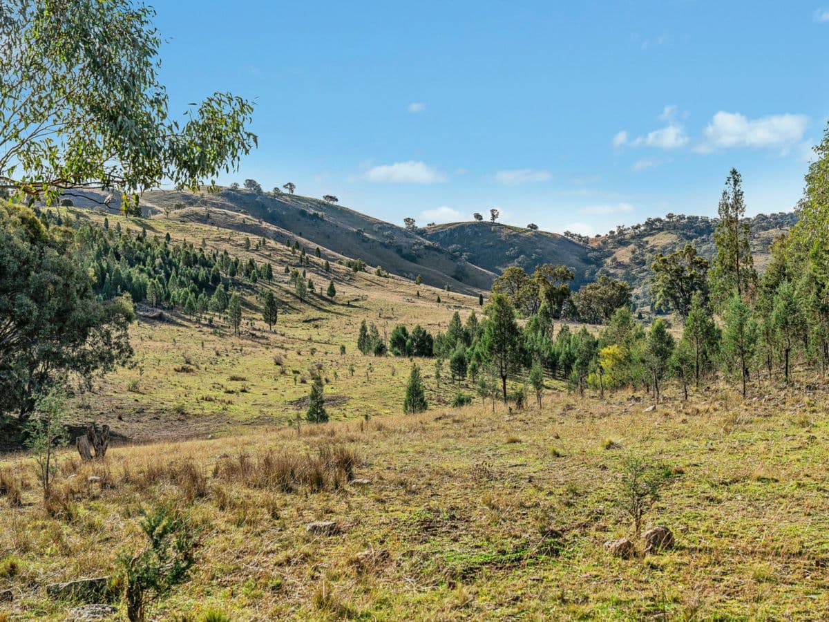 2/1193 Yarrabin Road, MUDGEE, Mudgee - Thumbnail 6