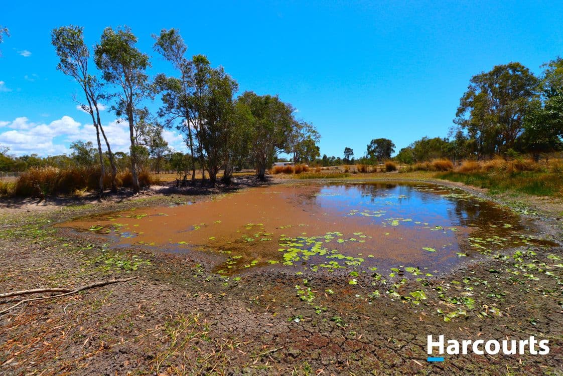 1383 Buxton Rd, BUXTON, QLD 4660, Buxton - Thumbnail 5
