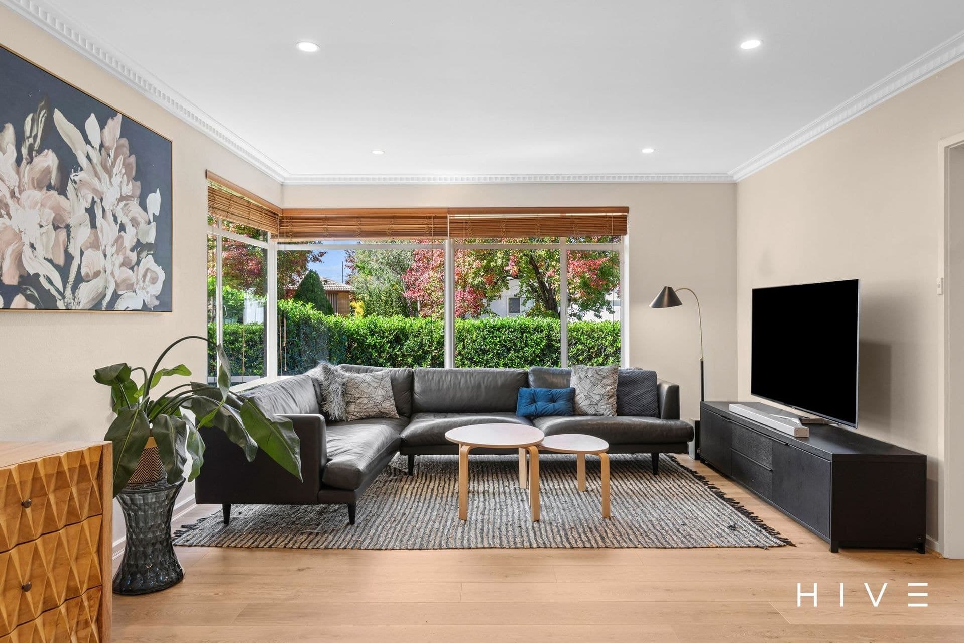 12 Morehead Street, Curtin, Curtin - Thumbnail 2