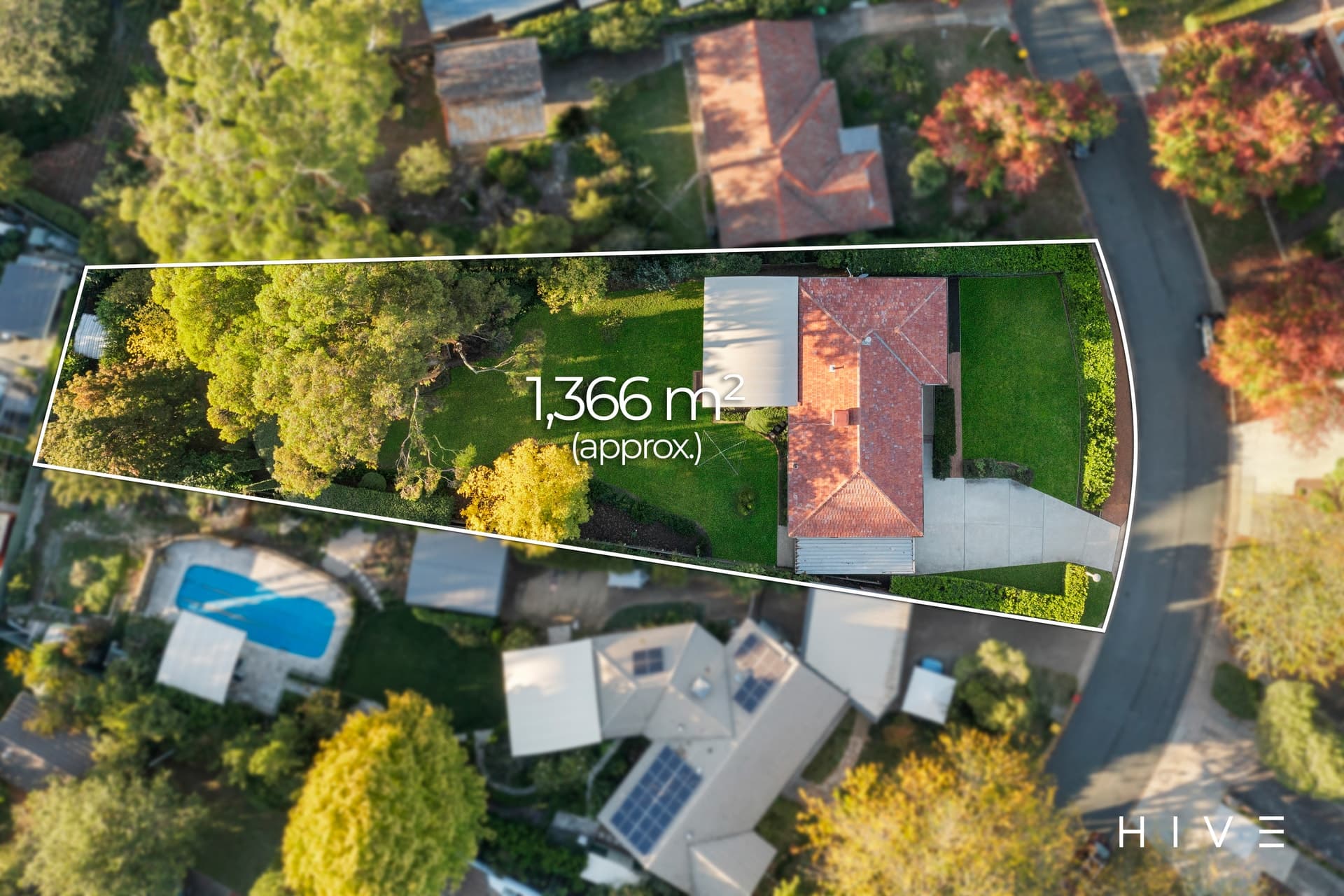 12 Morehead Street, Curtin, Curtin - Thumbnail 4