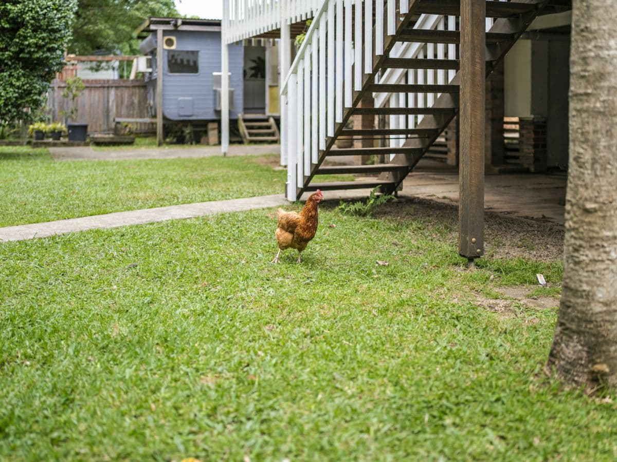 3 Dowle Street, BELLINGEN, Bellingen - Thumbnail 8