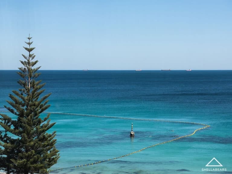8/110 Marine Parade, Cottesloe - Thumbnail 4
