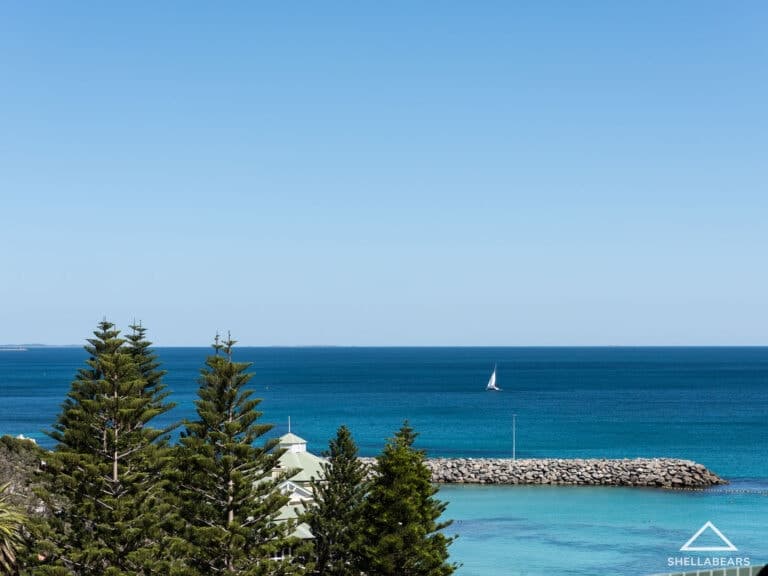 8/110 Marine Parade, Cottesloe - Thumbnail 5