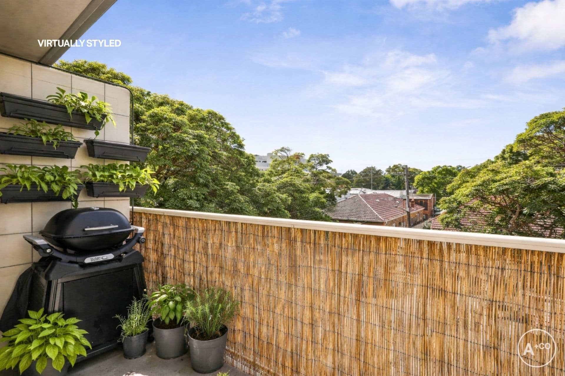 6/54 Botany Street, Kingsford, Kingsford - Thumbnail 5