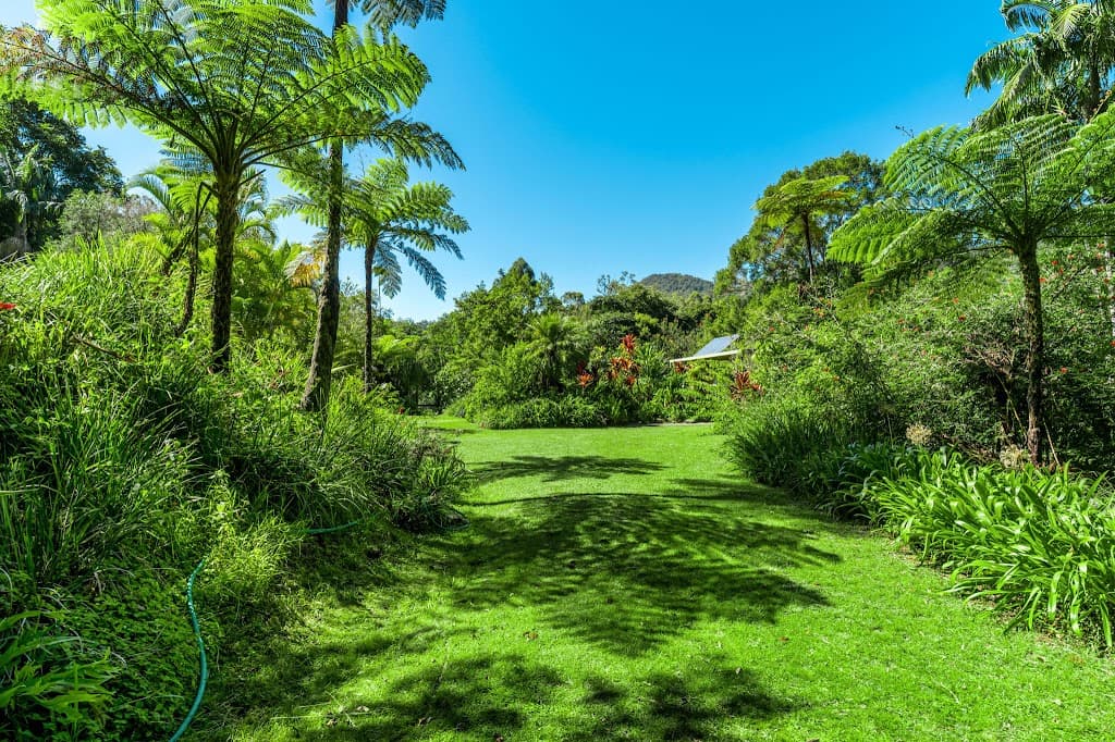 193 Hidden Valley Road, Eungella, NSW, 2484, Eungella - Thumbnail 4