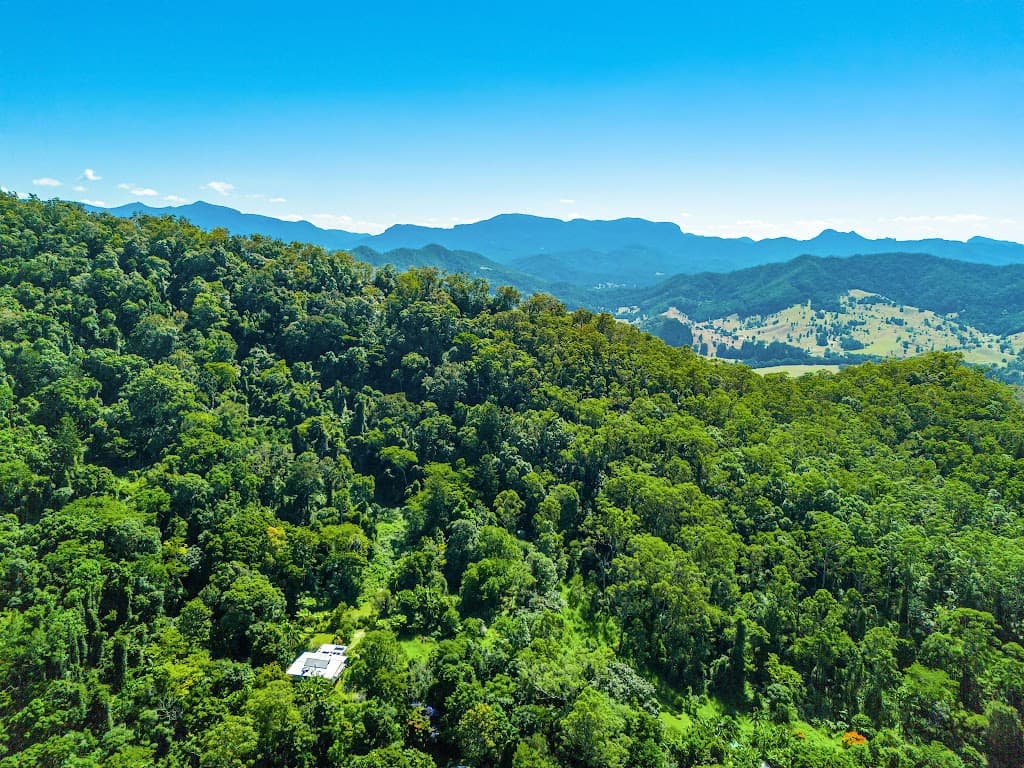 193 Hidden Valley Road, Eungella, NSW, 2484, Eungella - Thumbnail 8