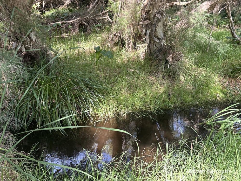 92 Robinson Street, GINGIN, WA 6503, Gingin - Thumbnail 2