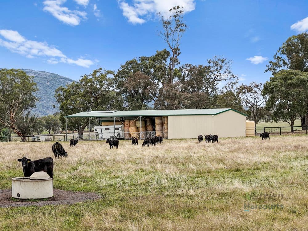 80 Millards  Lane, EUROA, VIC 3666, Euroa - Thumbnail 7