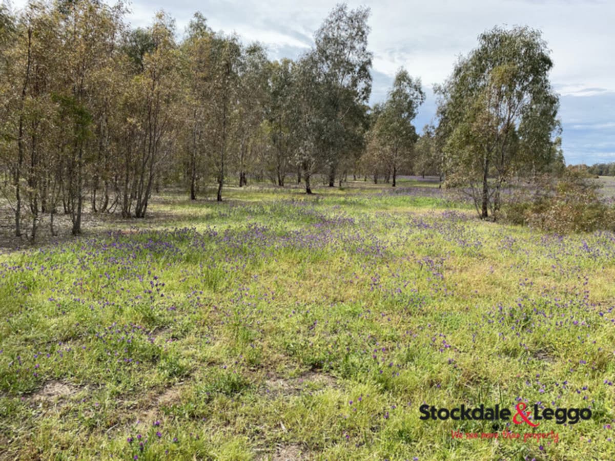 Lot 16 Clifton Road, Wellsford VIC 3551, Wellsford - Thumbnail 3