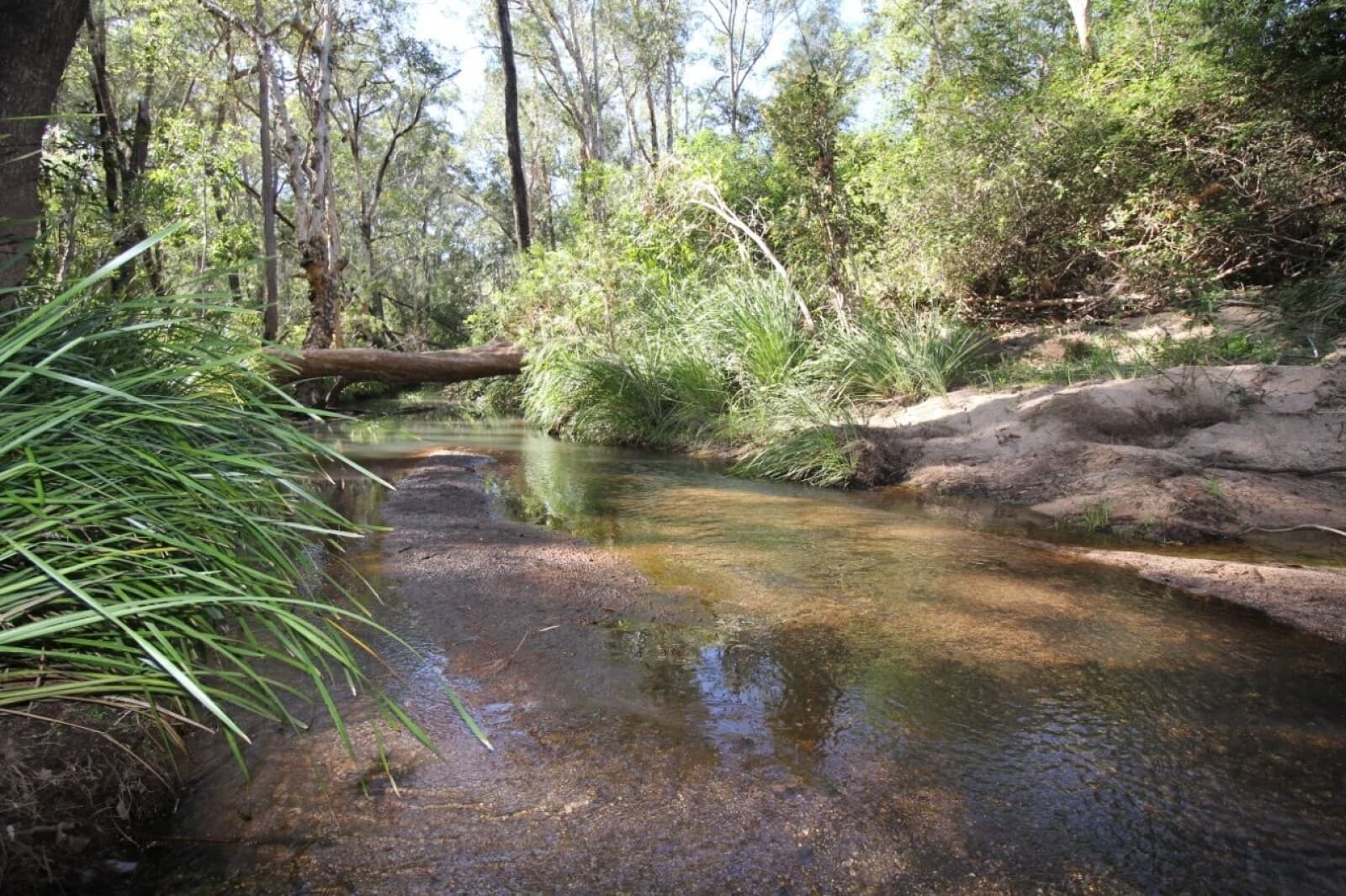 491 Hills Road Berajondo QLD 4674, Berajondo - Thumbnail 6