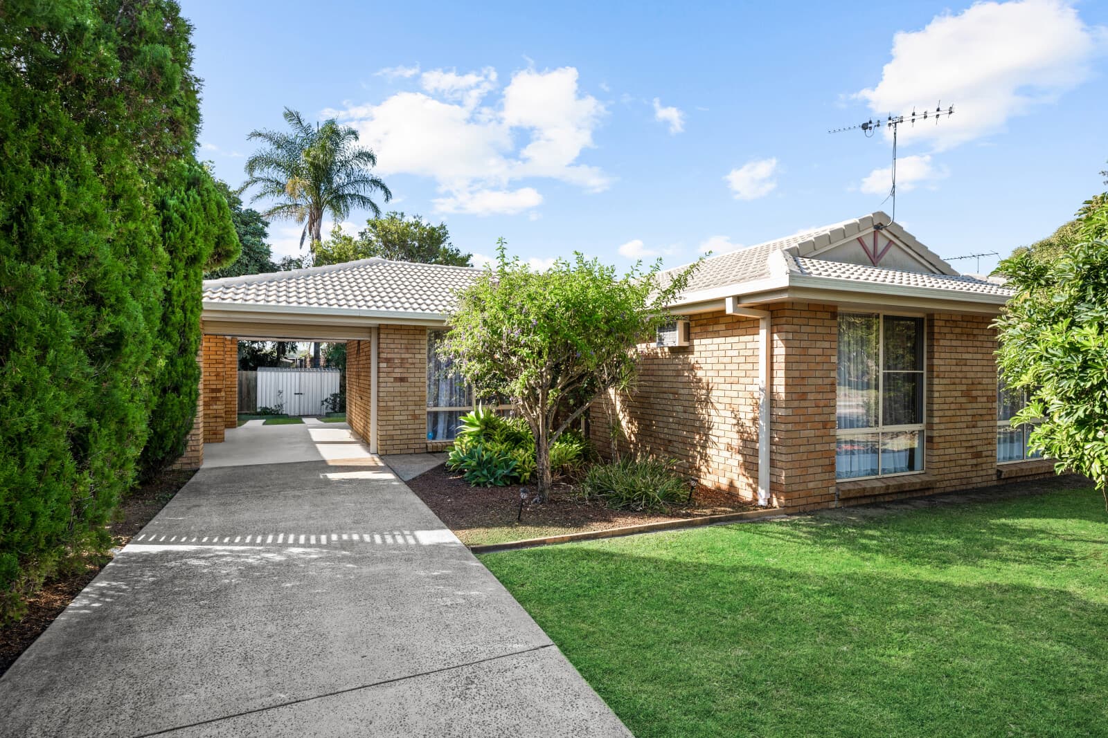 3 Murrumbidgee Street Hillcrest QLD 4118, Hillcrest - Thumbnail 2
