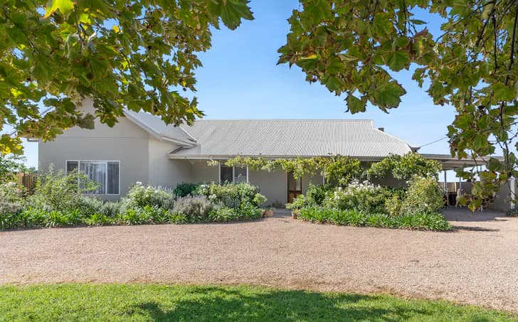 154 Seventh Street, Renmark, SA, 5341, Renmark - Image 1