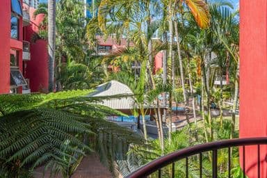 50/38 Enderley Avenue, Surfers Paradise, QLD 4217, Surfers Paradise - Image 1