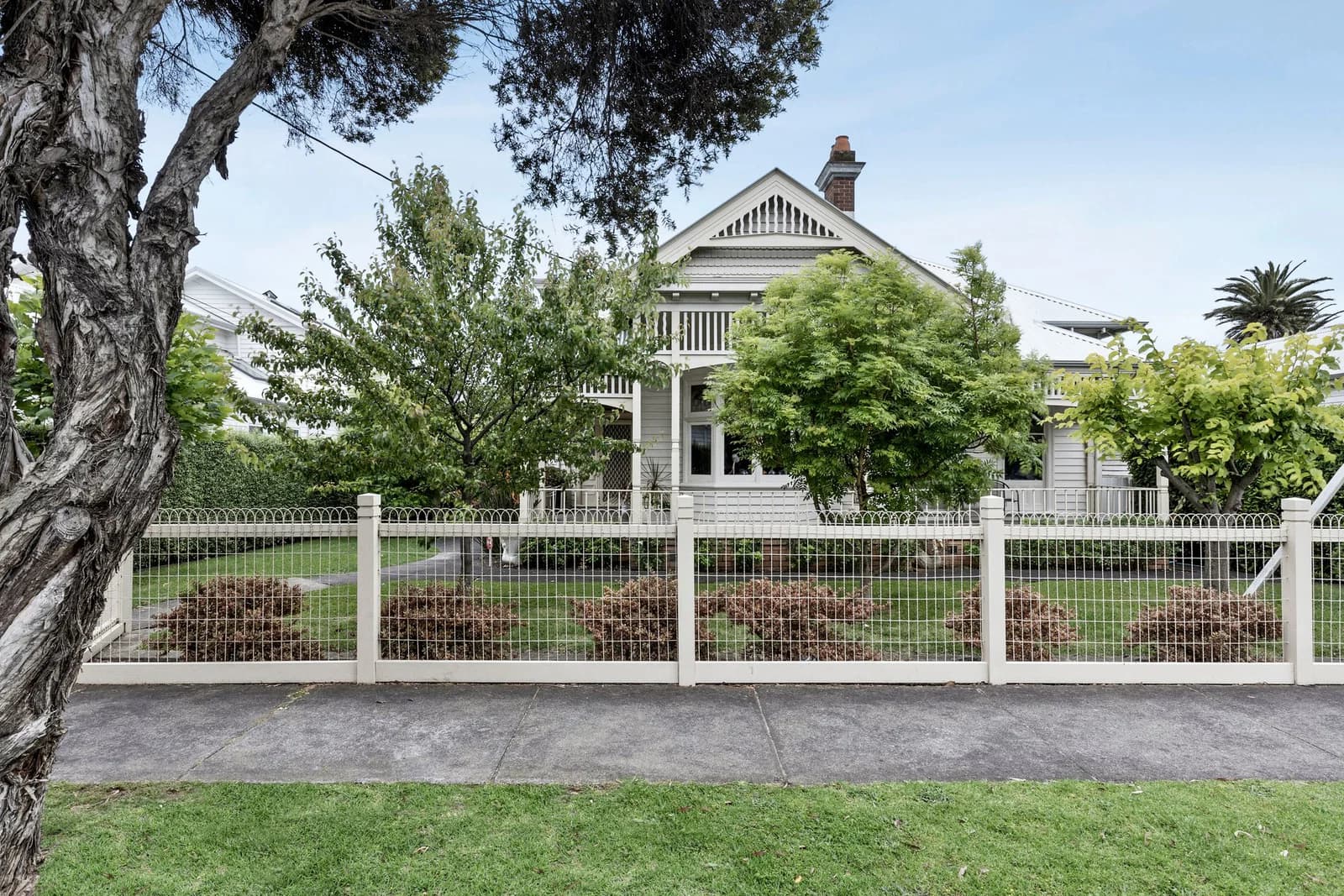 167 McKillop Street, Geelong - Thumbnail 4