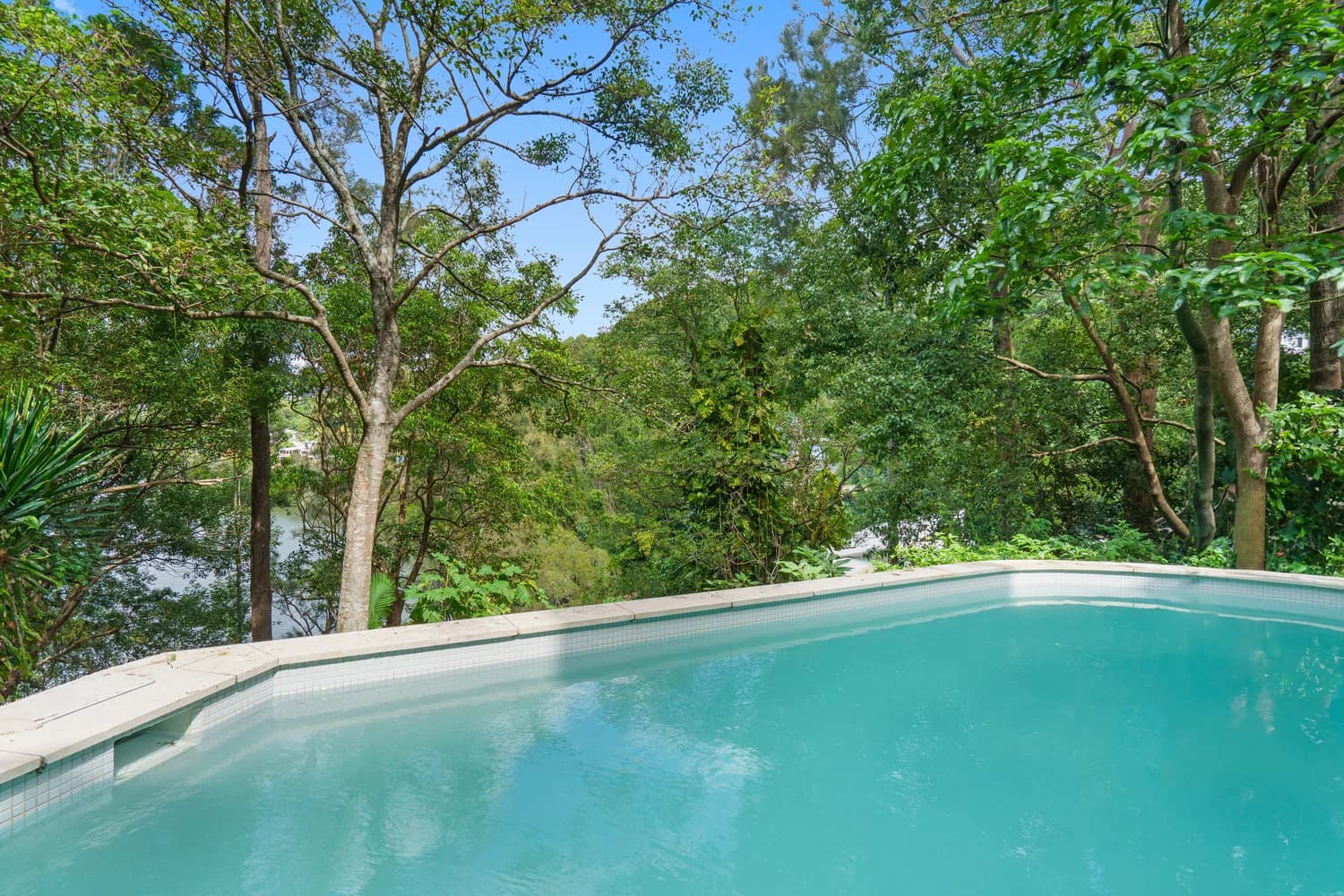 113 Peninsula Drive, Bilambil Heights, NSW, 2486, Bilambil Heights - Thumbnail 3