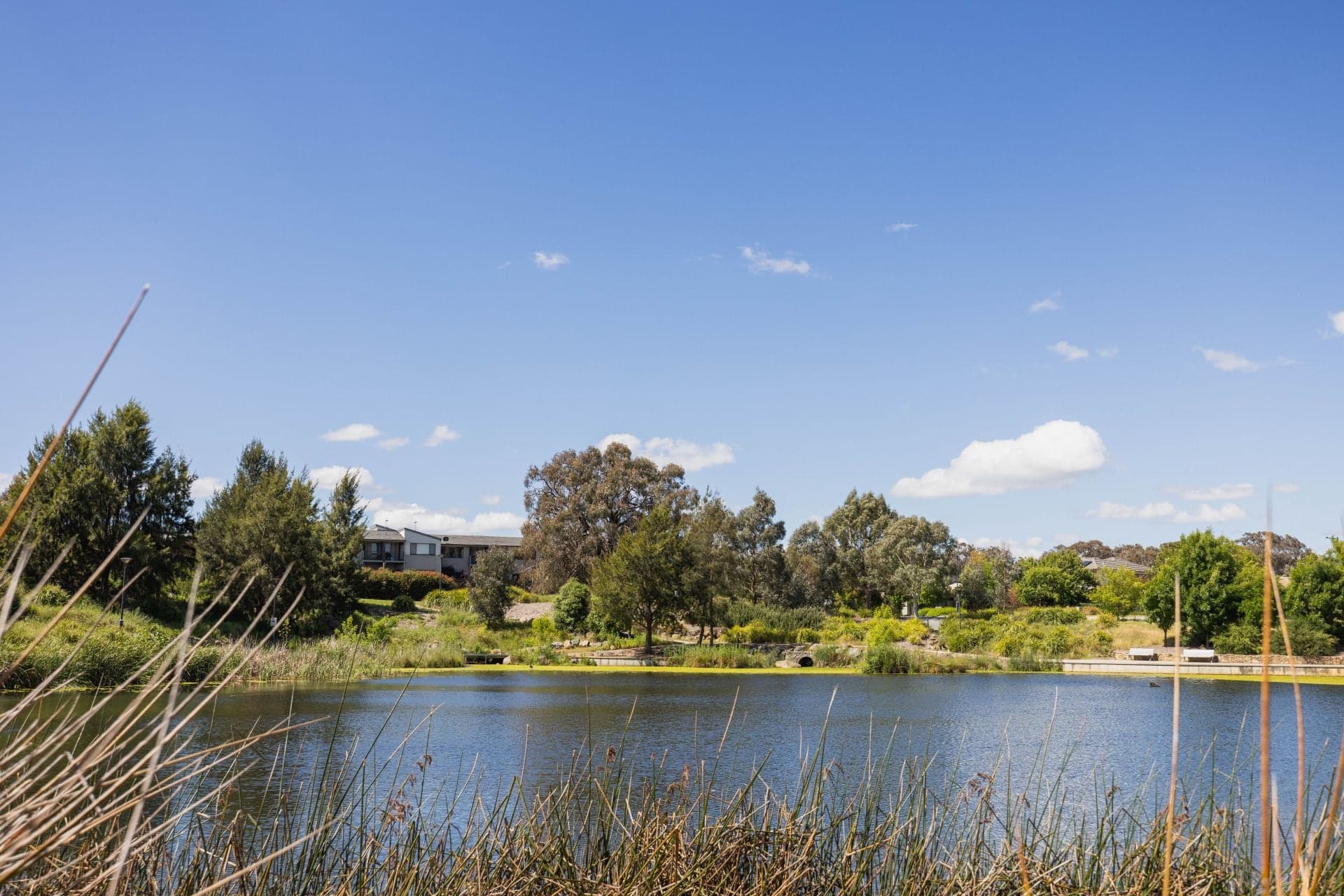 24 Joyce Bull Lane, Casey, Casey - Thumbnail 2