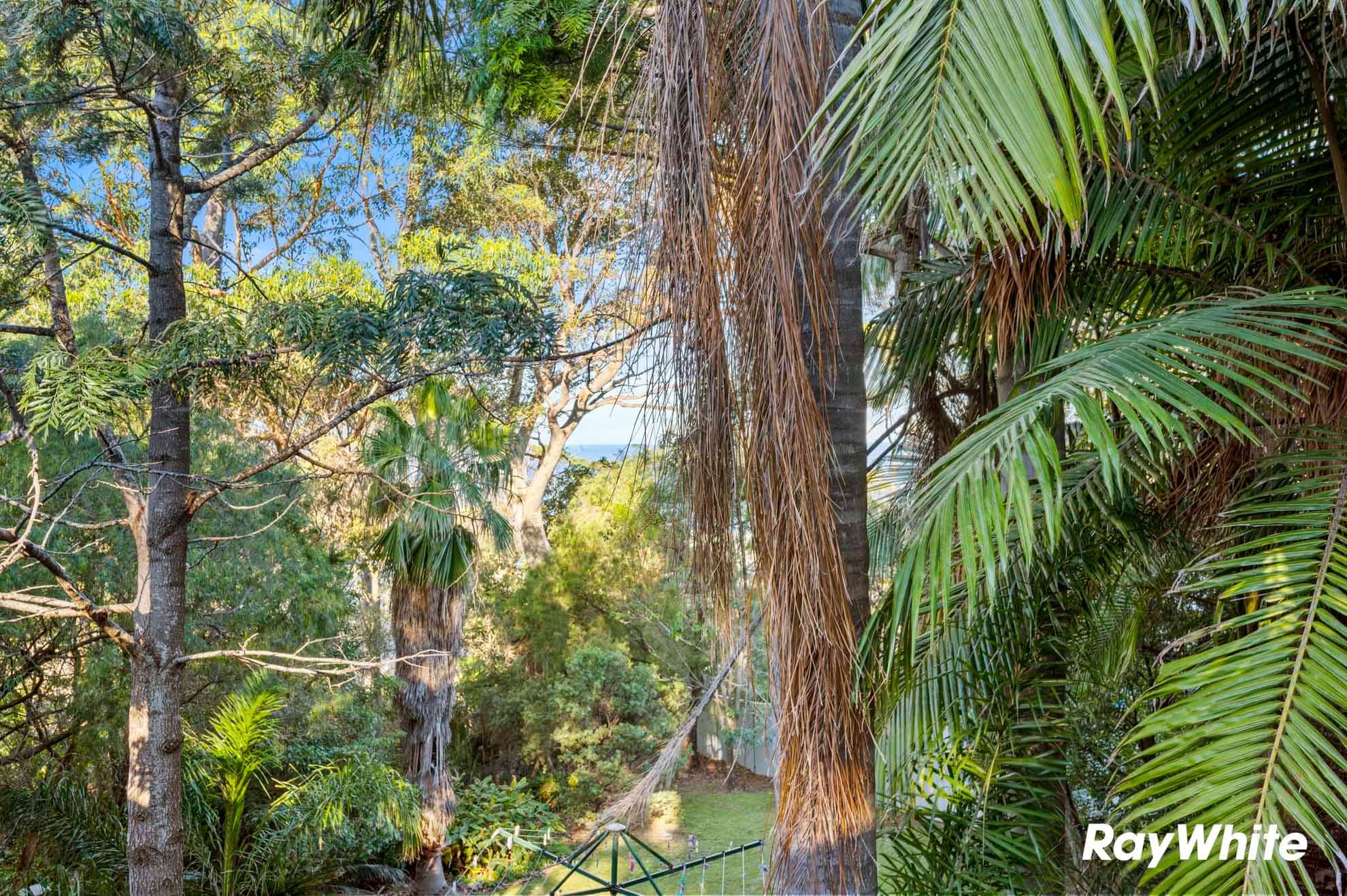 352 George Bass Drive, Lilli Pilli NSW 2536, Lilli Pilli - Thumbnail 3