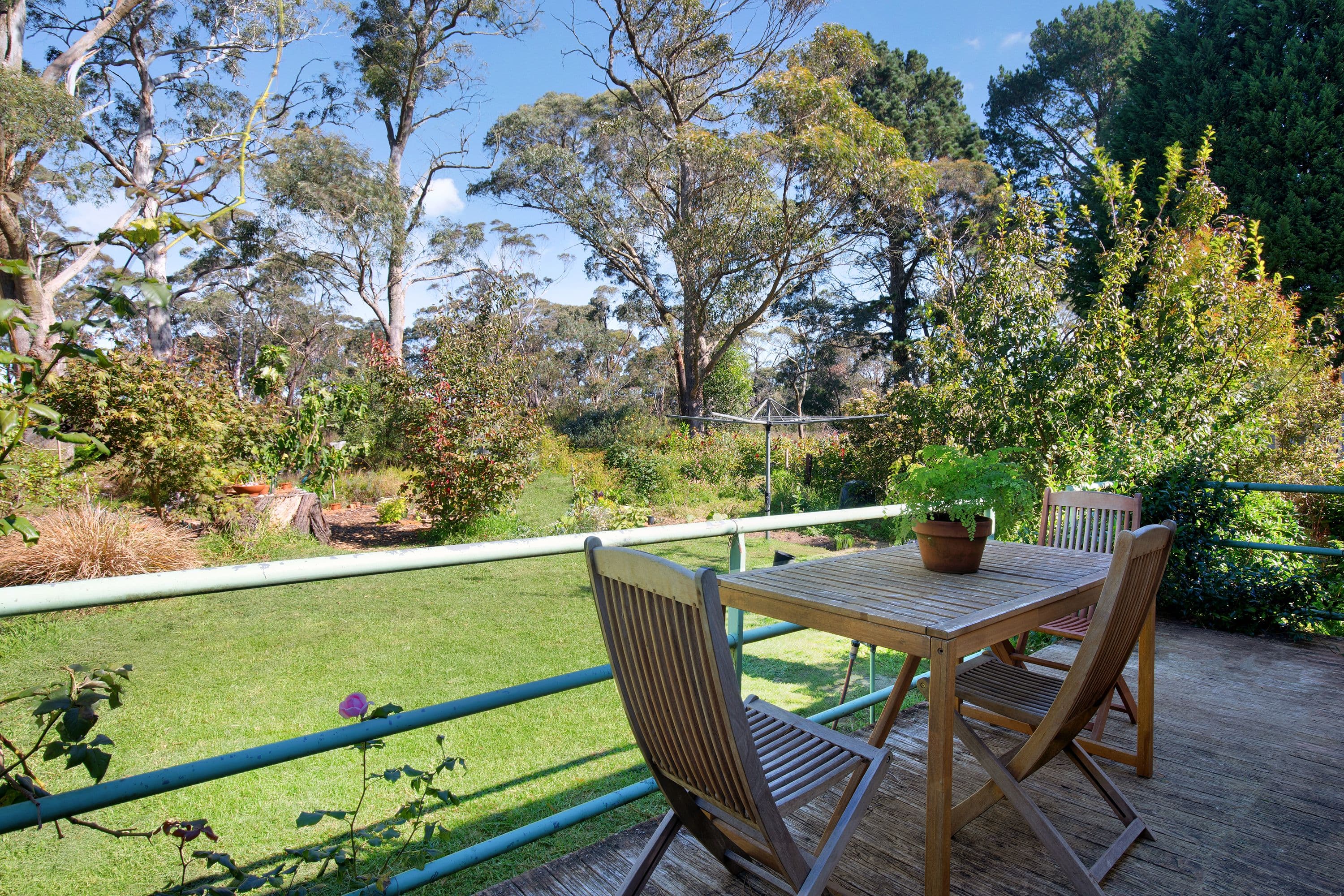 53 Evans Lookout Road, Blackheath NSW 2785, Blackheath - Thumbnail 8