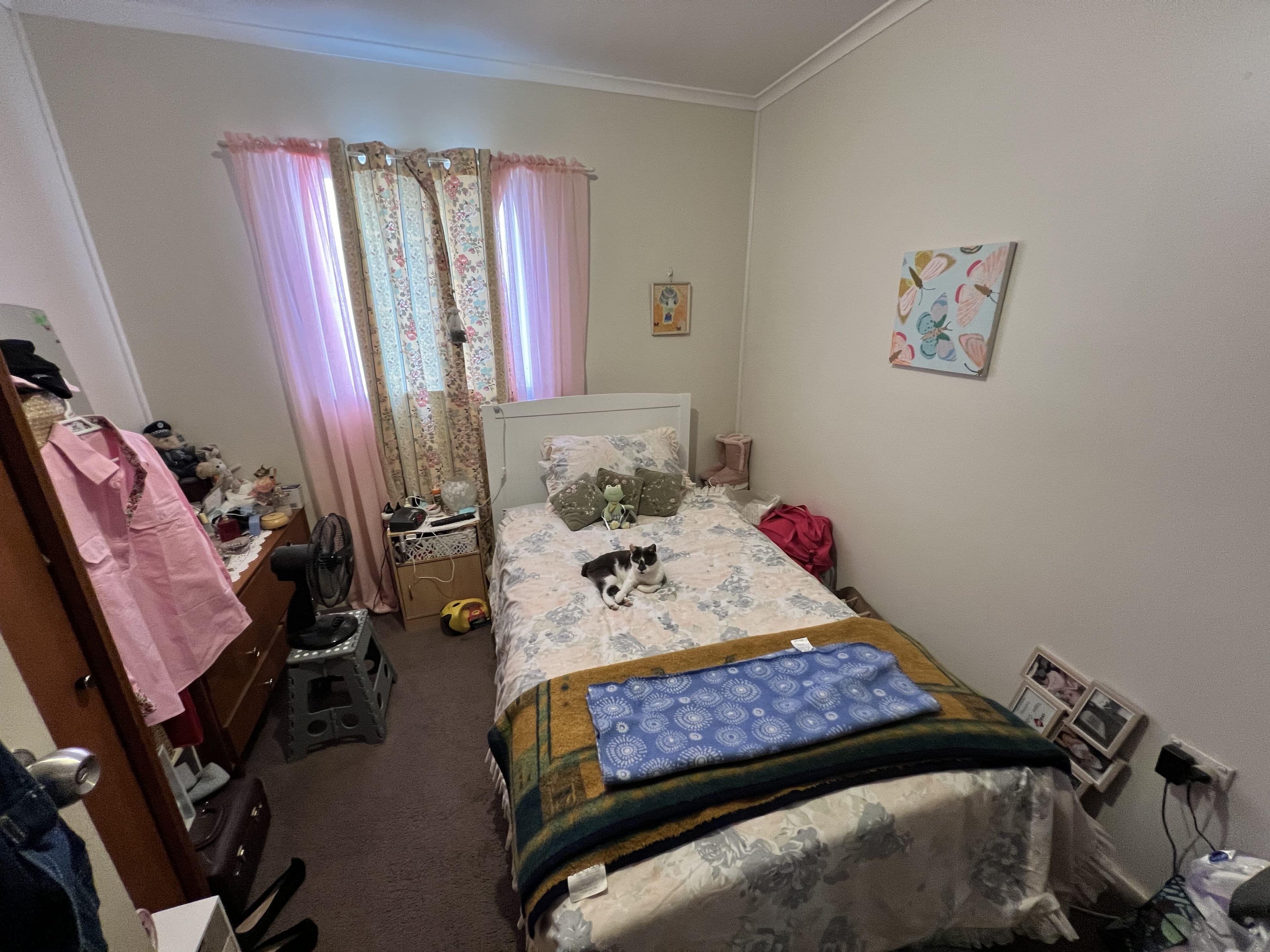 590 Chapple Lane, Broken Hill NSW 2880, Broken Hill - Thumbnail 6