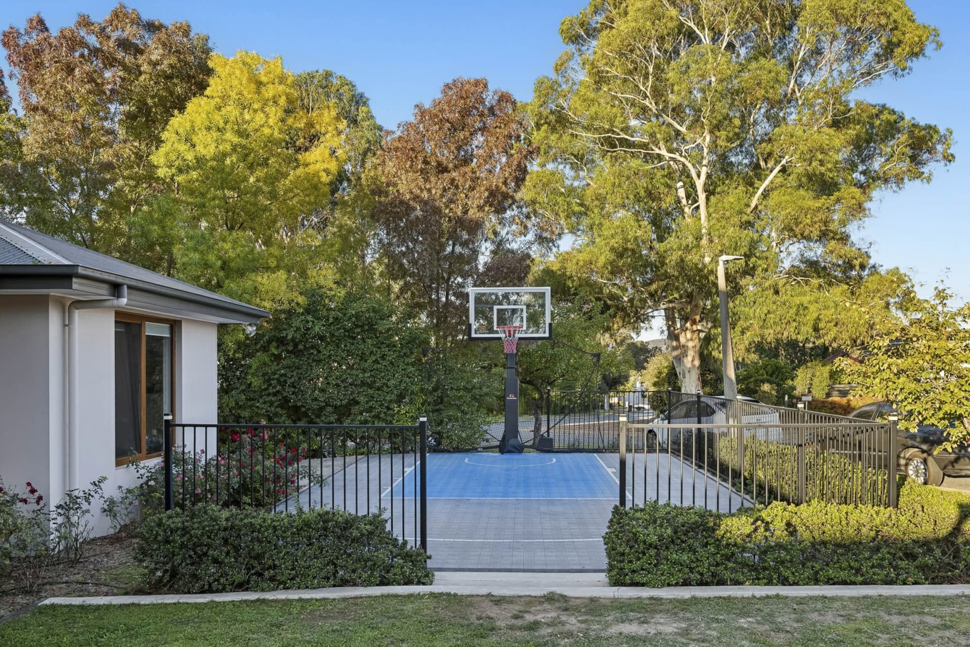 4 Lyle Place, Chifley, Chifley - Thumbnail 4