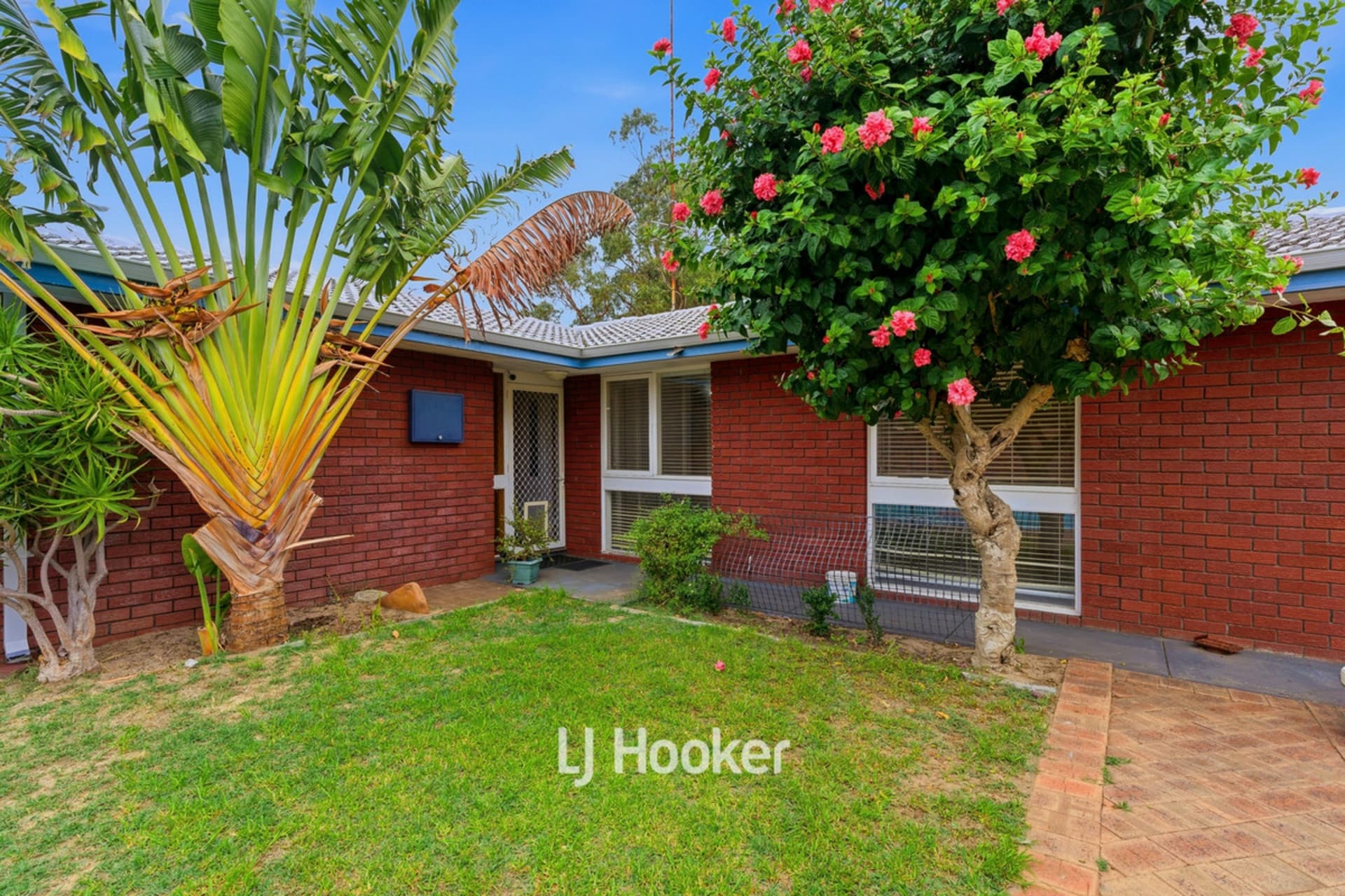 27 Tilley Crescent, East Bunbury, East Bunbury - Thumbnail 7