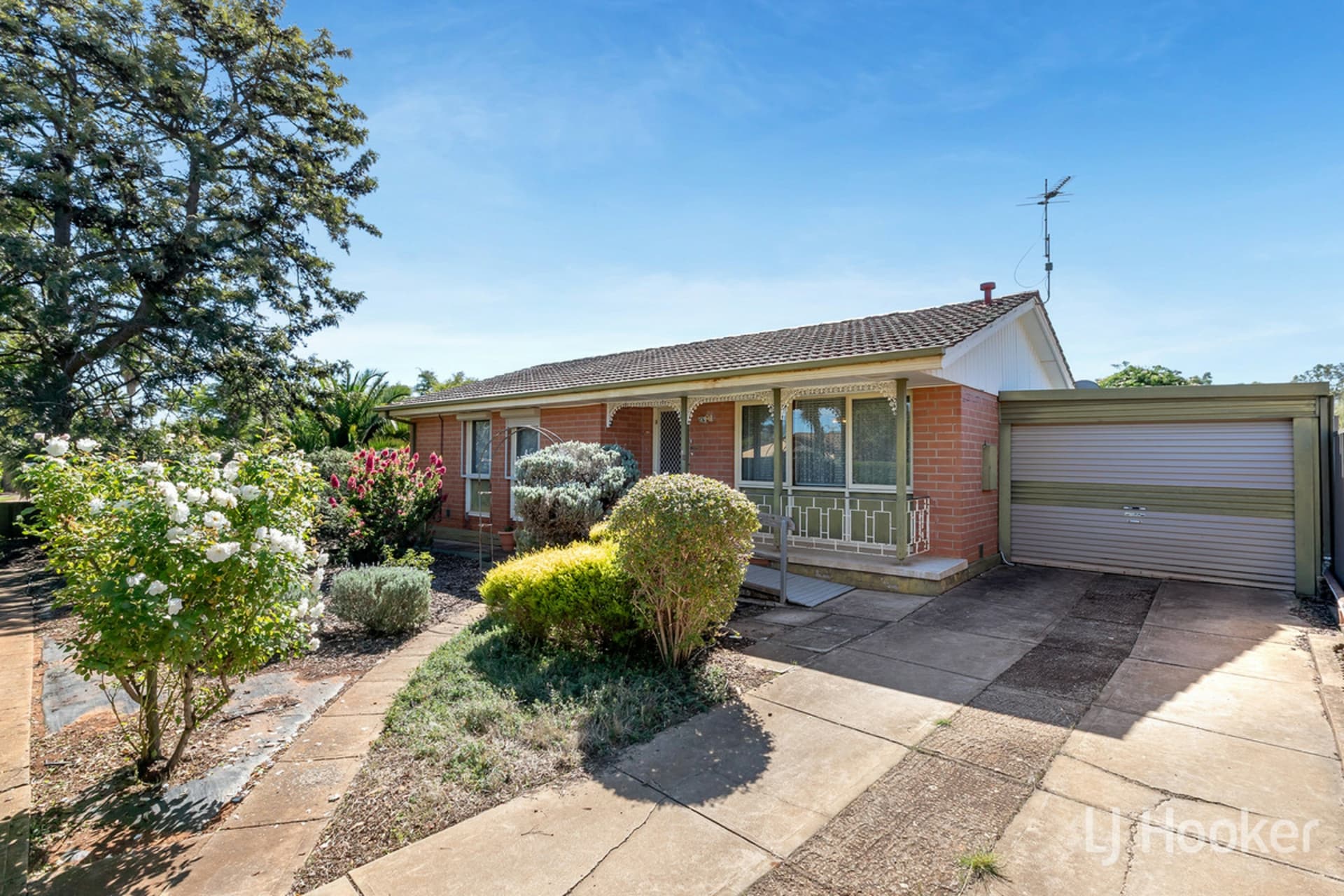 21 Cavenagh Street, Elizabeth Downs, Elizabeth Downs - Thumbnail 2