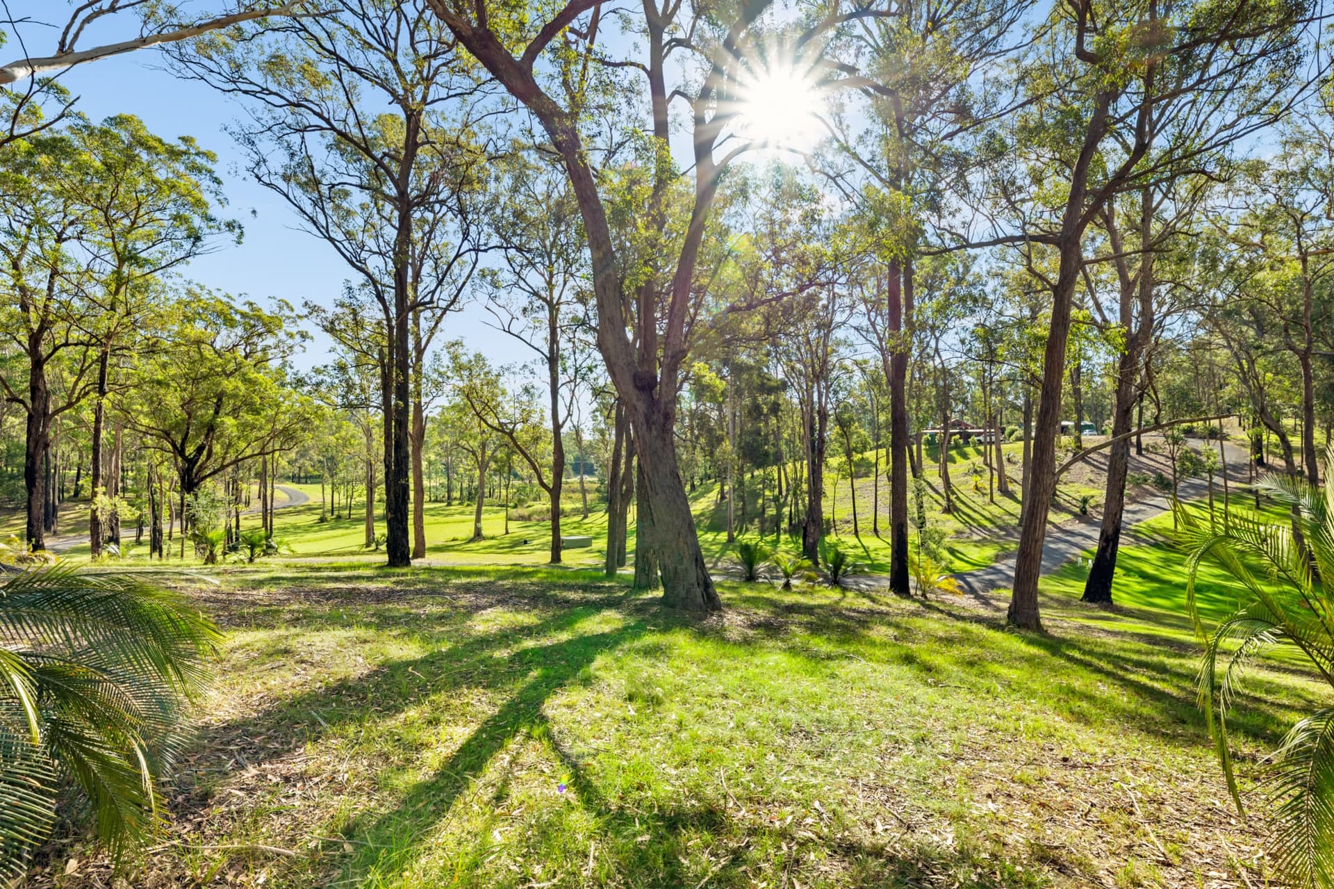 63 Yarragee Road, Moruya, Moruya - Thumbnail 6