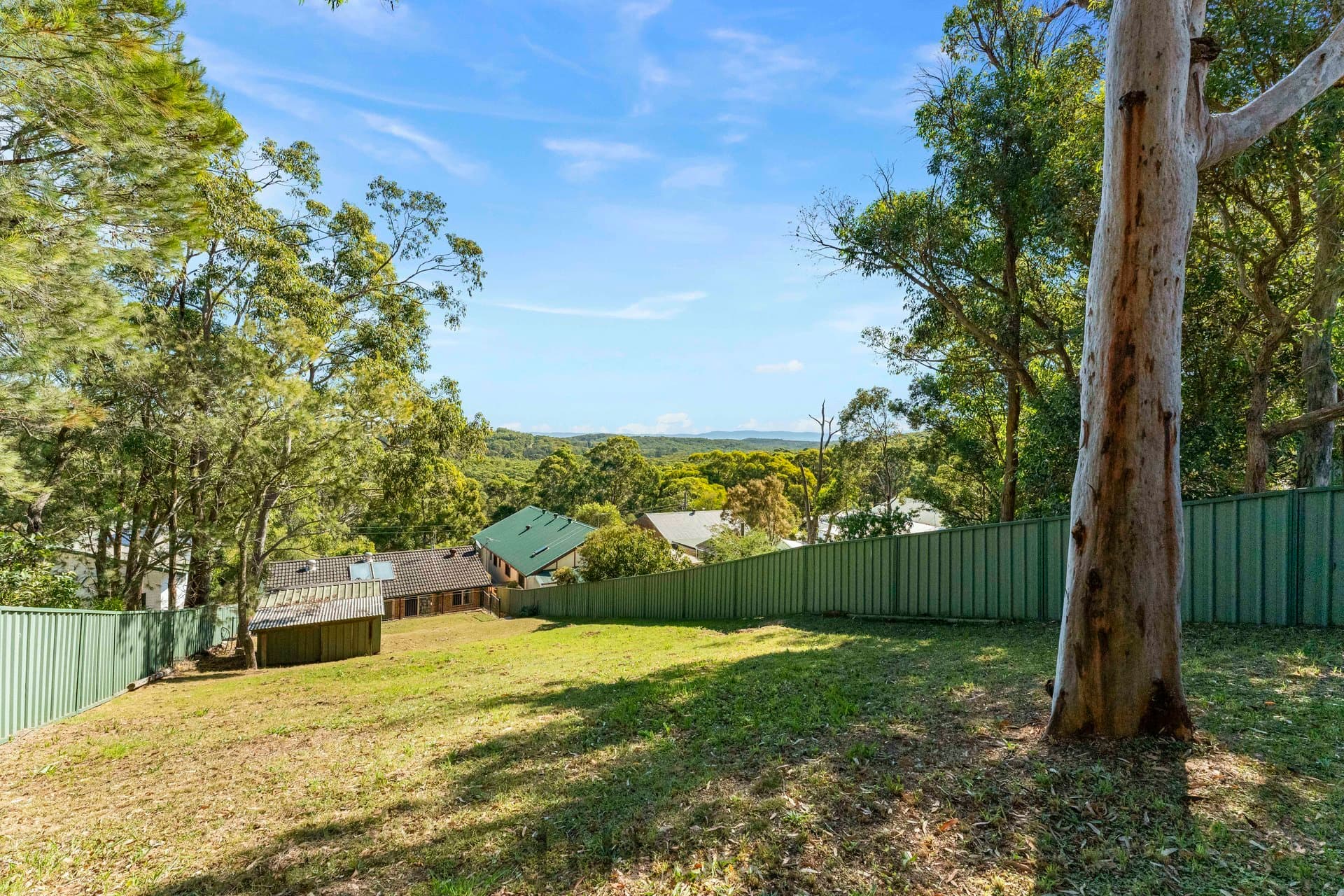 65 Donnelly Road, Arcadia Vale, Arcadia Vale - Thumbnail 4