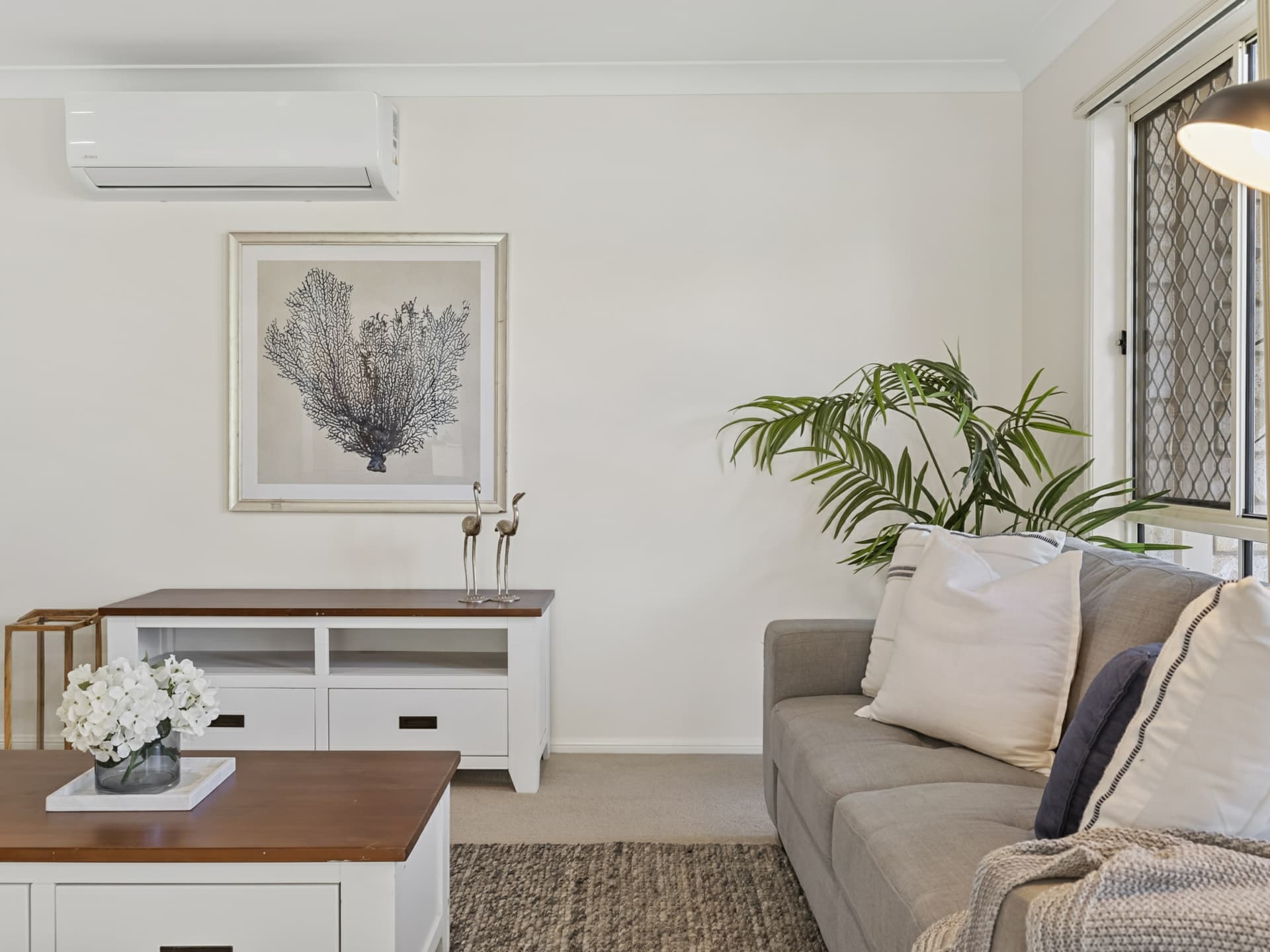 3 Begonia Street, Ormeau, Ormeau - Thumbnail 5