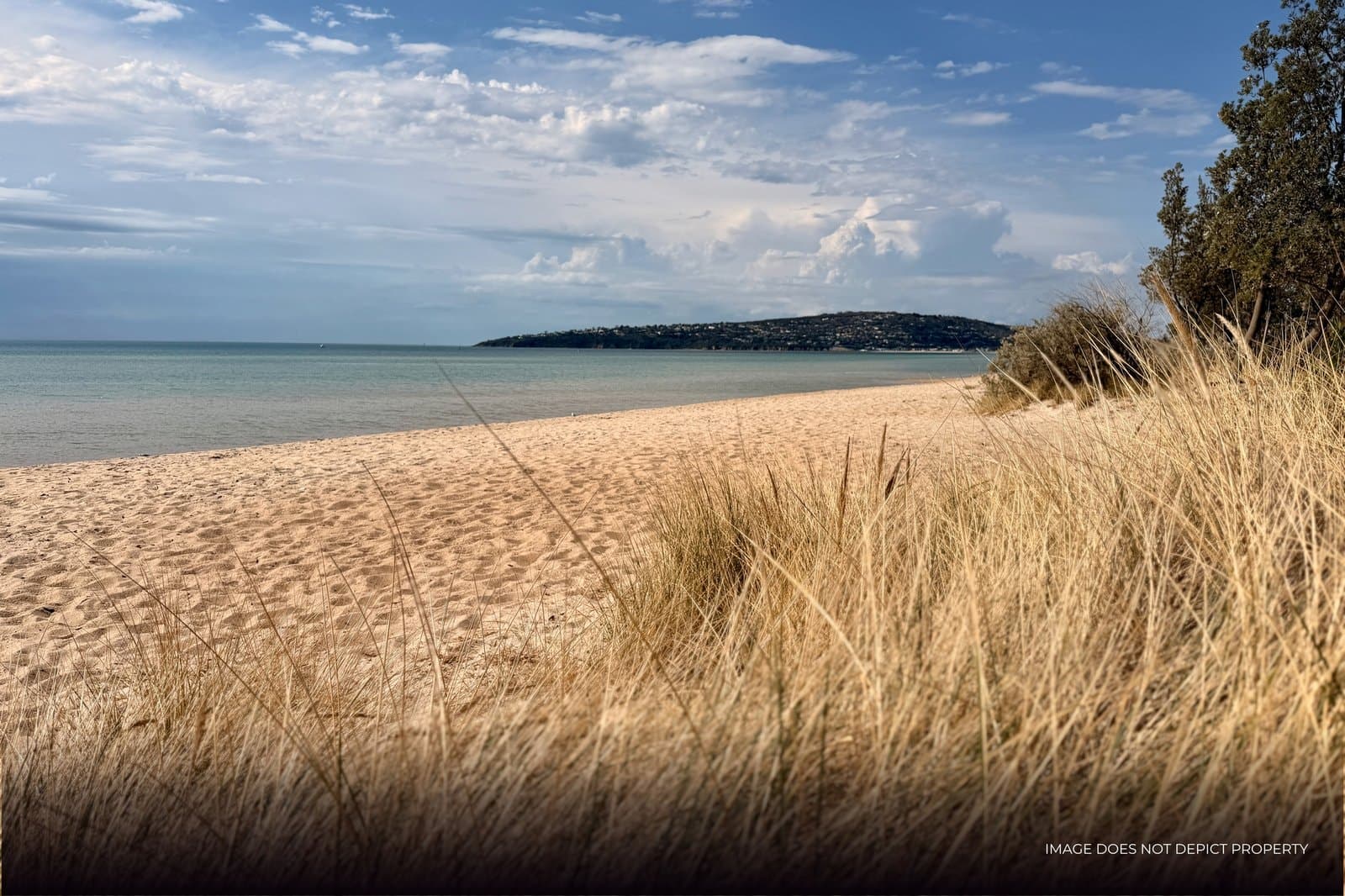 4 Palm Grove,
                        
                    
                    
                        
                            Dromana, Dromana - Image 1