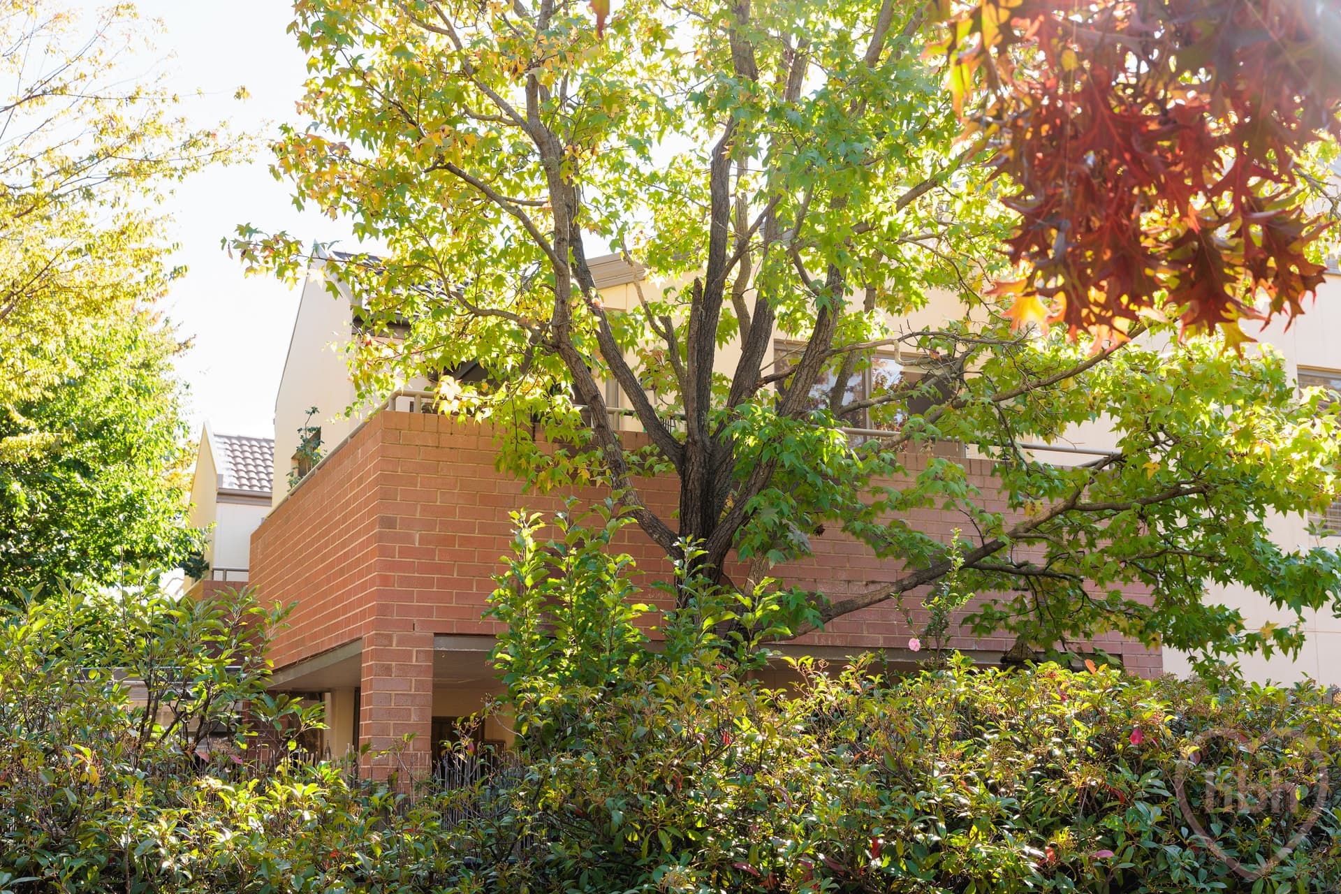 14/2 Archibald Street, Lyneham - Thumbnail 8