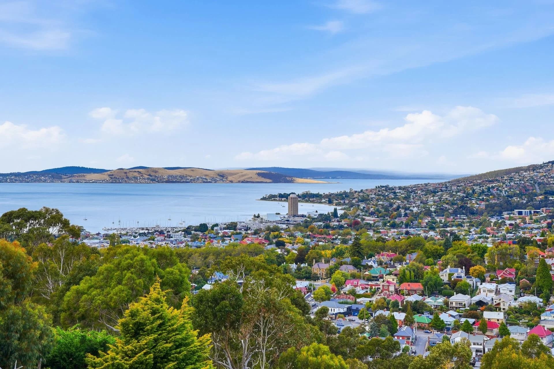 116B Forest Road, West Hobart - Thumbnail 5