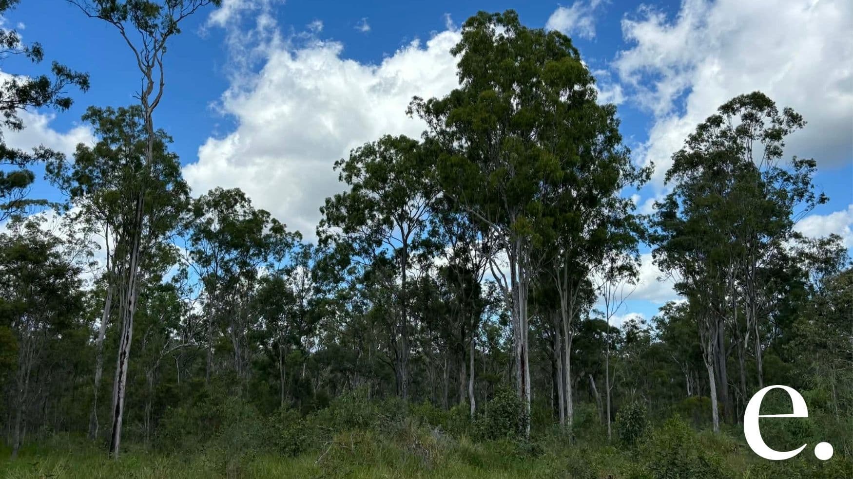 42 Billabong Way, Bucca - Thumbnail 4