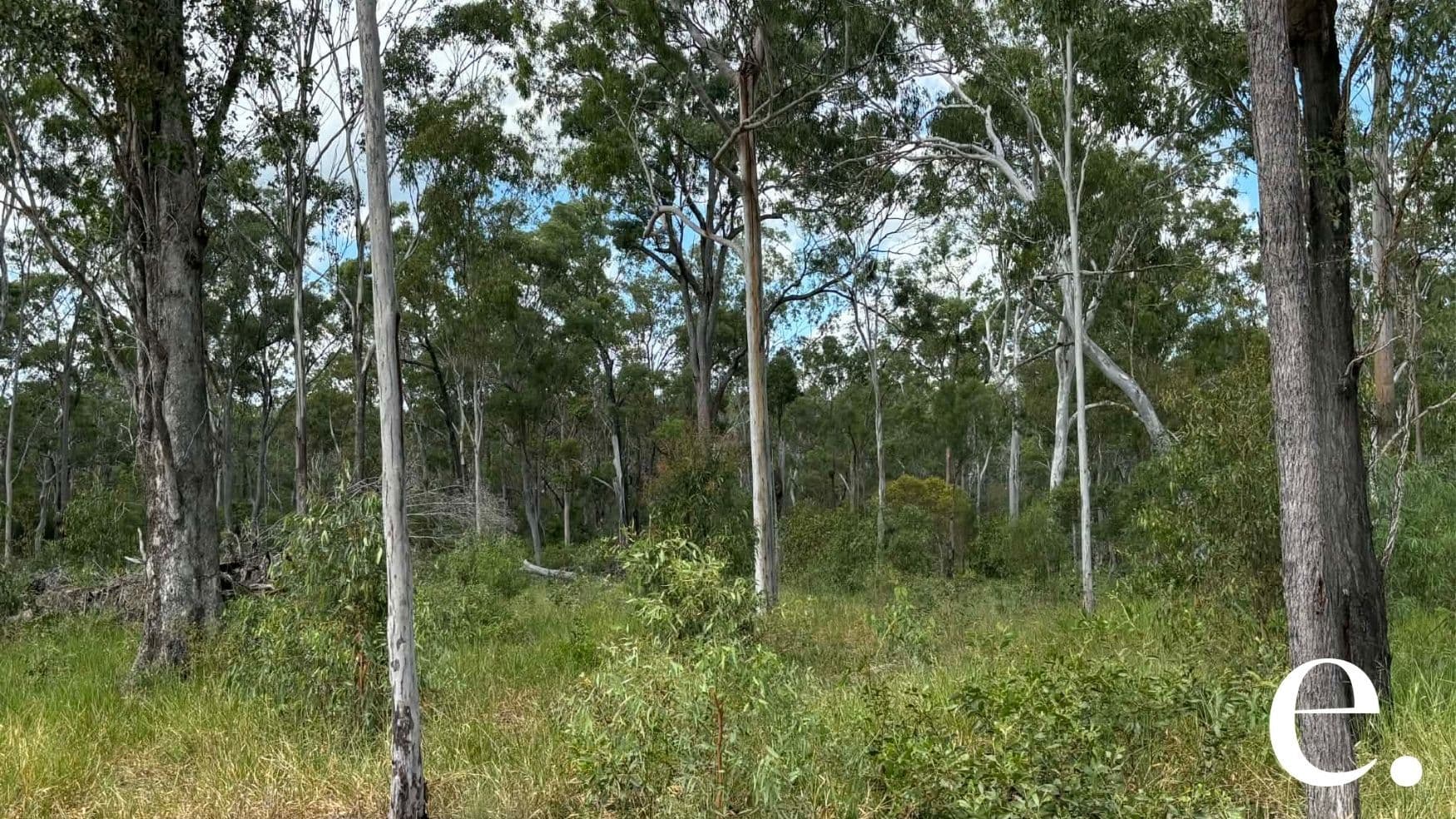 42 Billabong Way, Bucca - Thumbnail 5