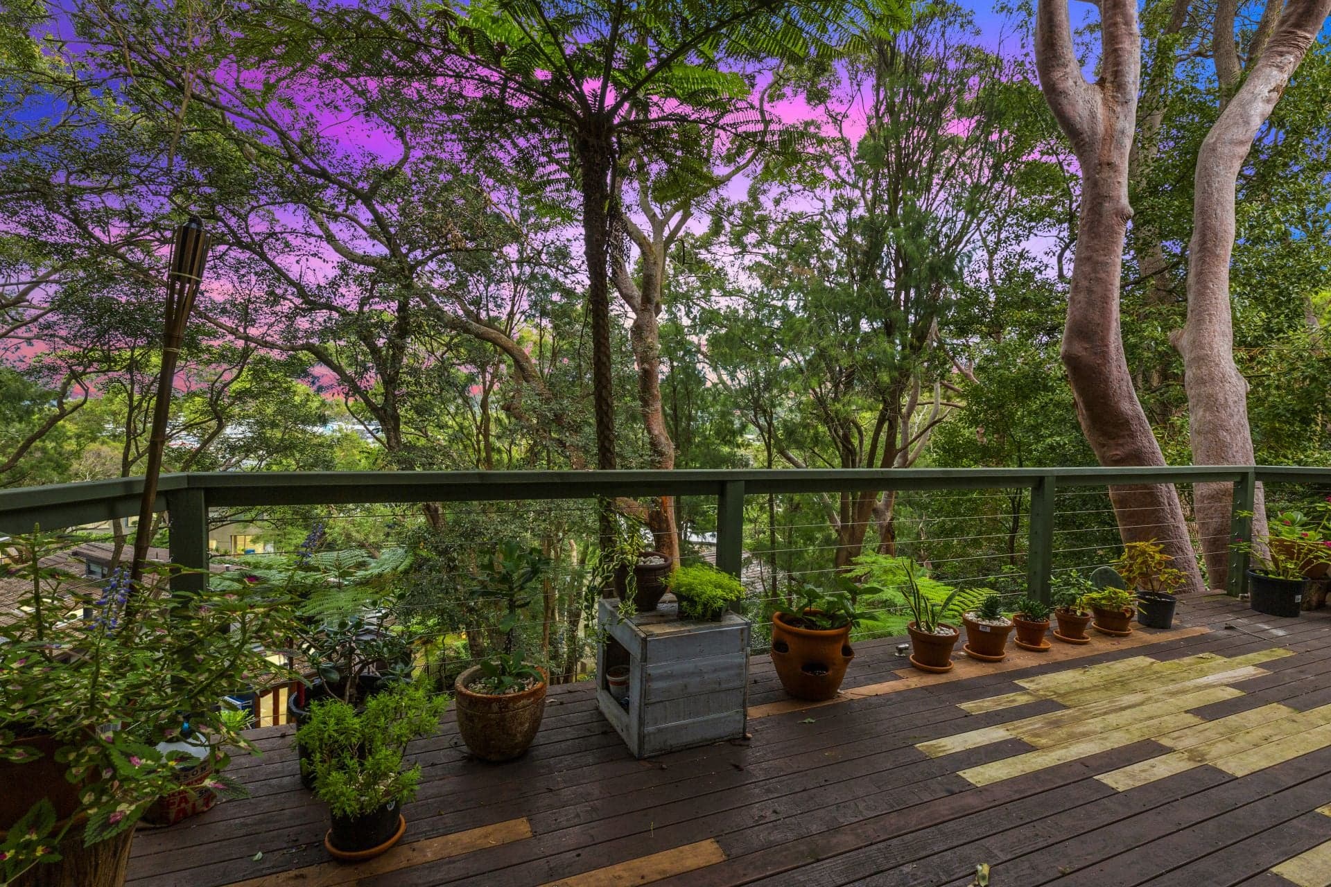 31 Ryan Place BEACON HILL NSW, Beacon Hill - Thumbnail 6