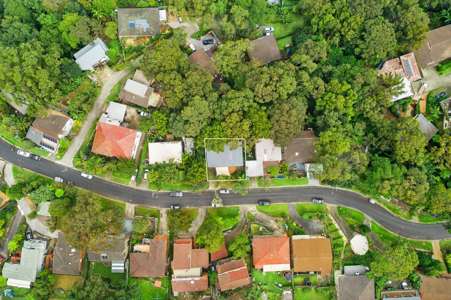 31 Ryan Place BEACON HILL NSW, Beacon Hill - Thumbnail 7