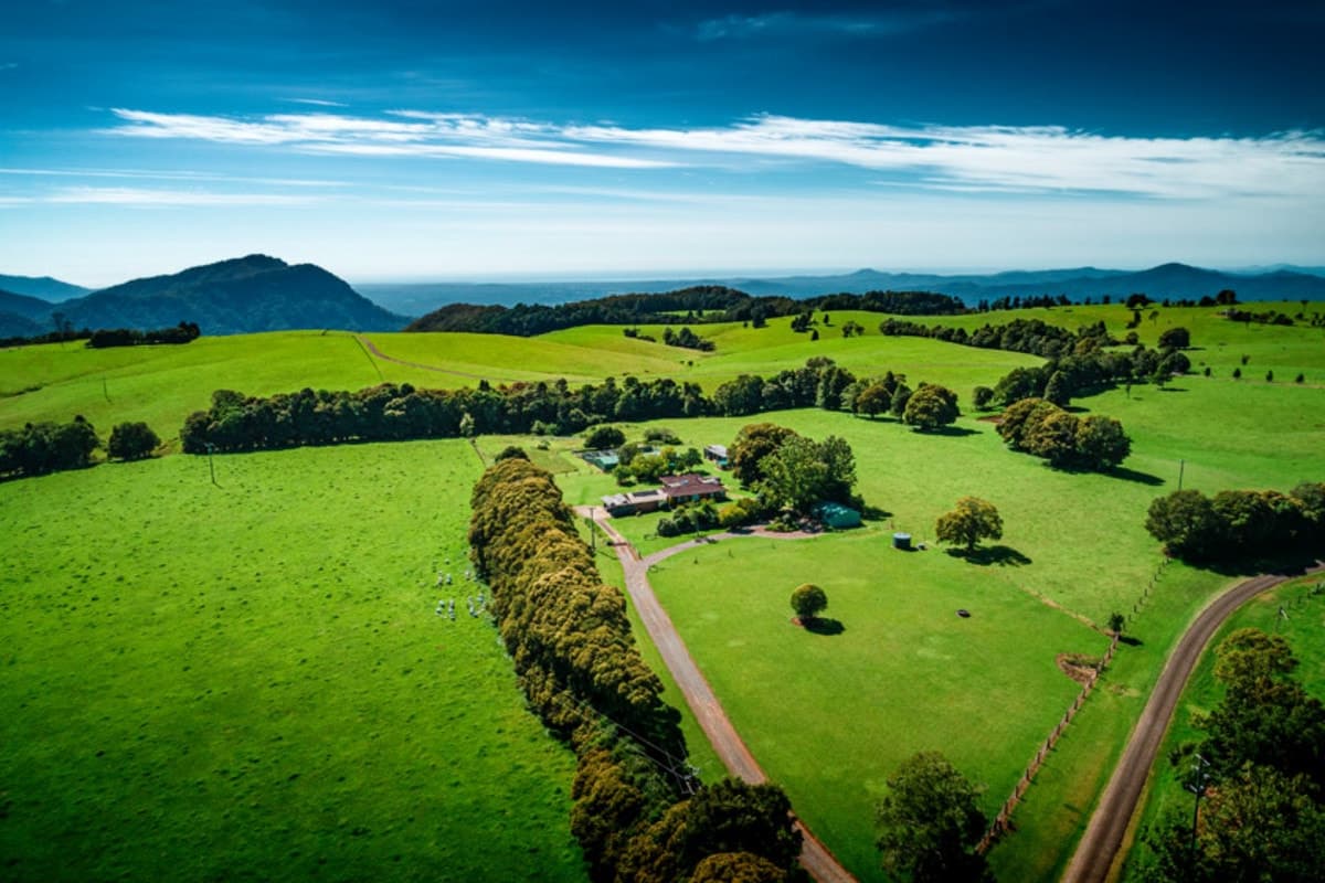 121 Mountain Top Road, Dorrigo - Thumbnail 2