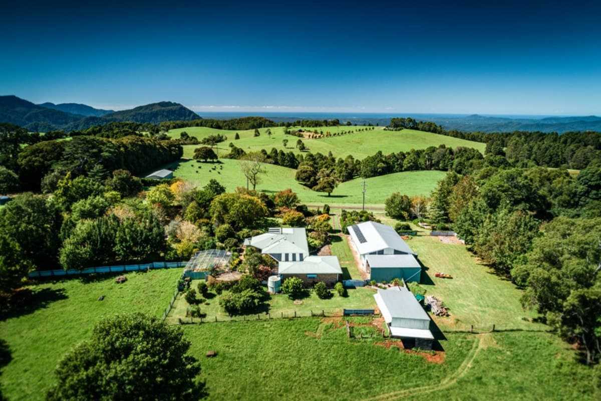 194 Mountain Top Road, Dorrigo - Image 1