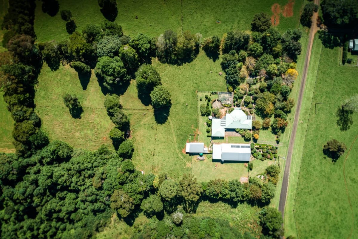 194 Mountain Top Road, Dorrigo - Thumbnail 4