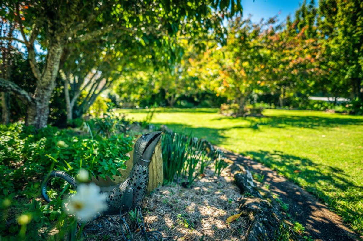 194 Mountain Top Road, Dorrigo - Thumbnail 5