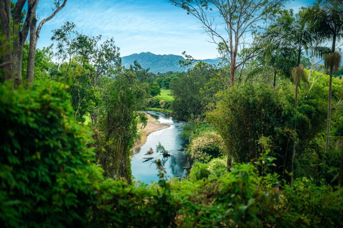 3 Sunset Ridge Drive, Bellingen - Thumbnail 2