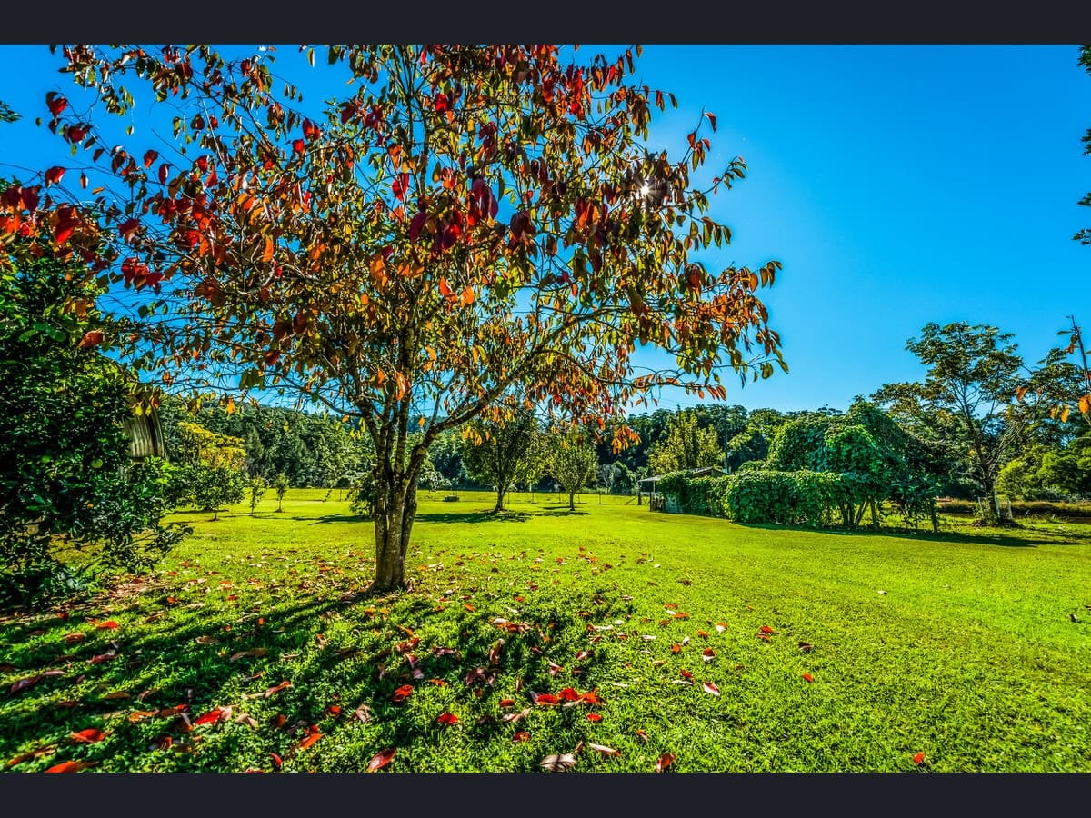 1432 Kalang Road, Bellingen - Thumbnail 3