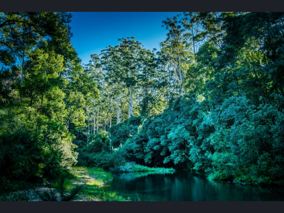 1432 Kalang Road, Bellingen - Thumbnail 5